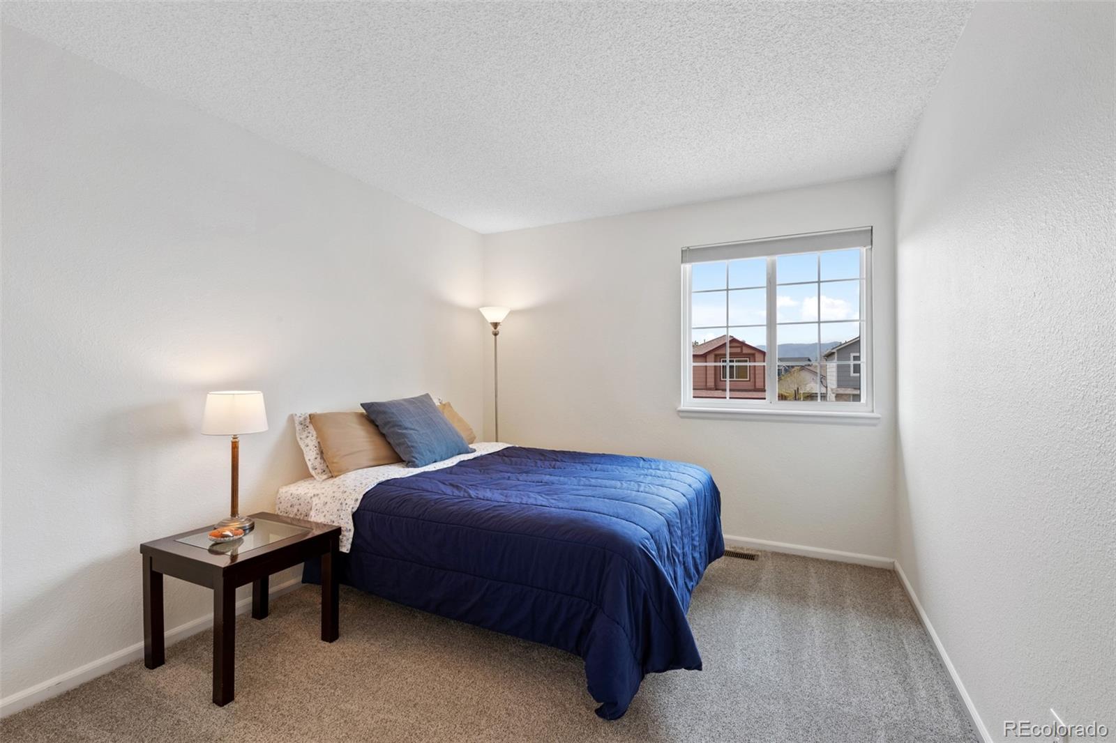 MLS Image #25 for 10512  hyacinth street,highlands ranch, Colorado