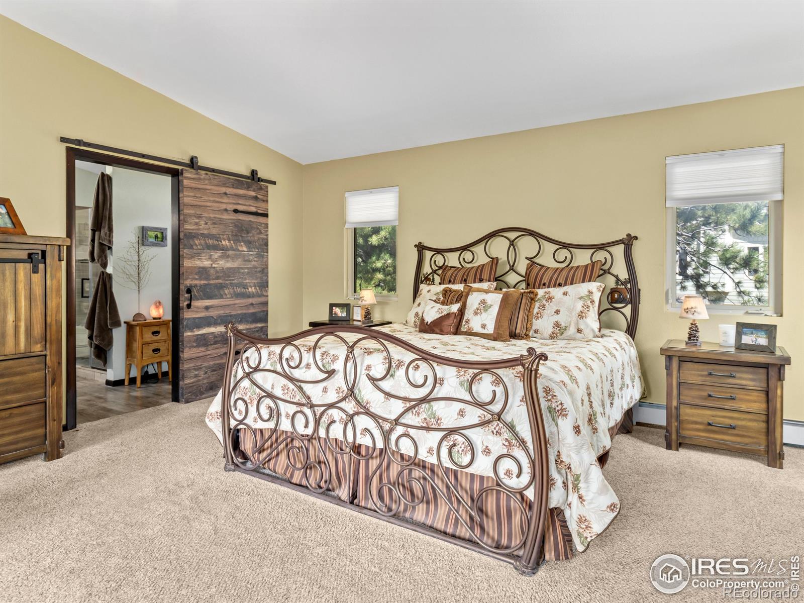 MLS Image #17 for 2505  longview drive,estes park, Colorado