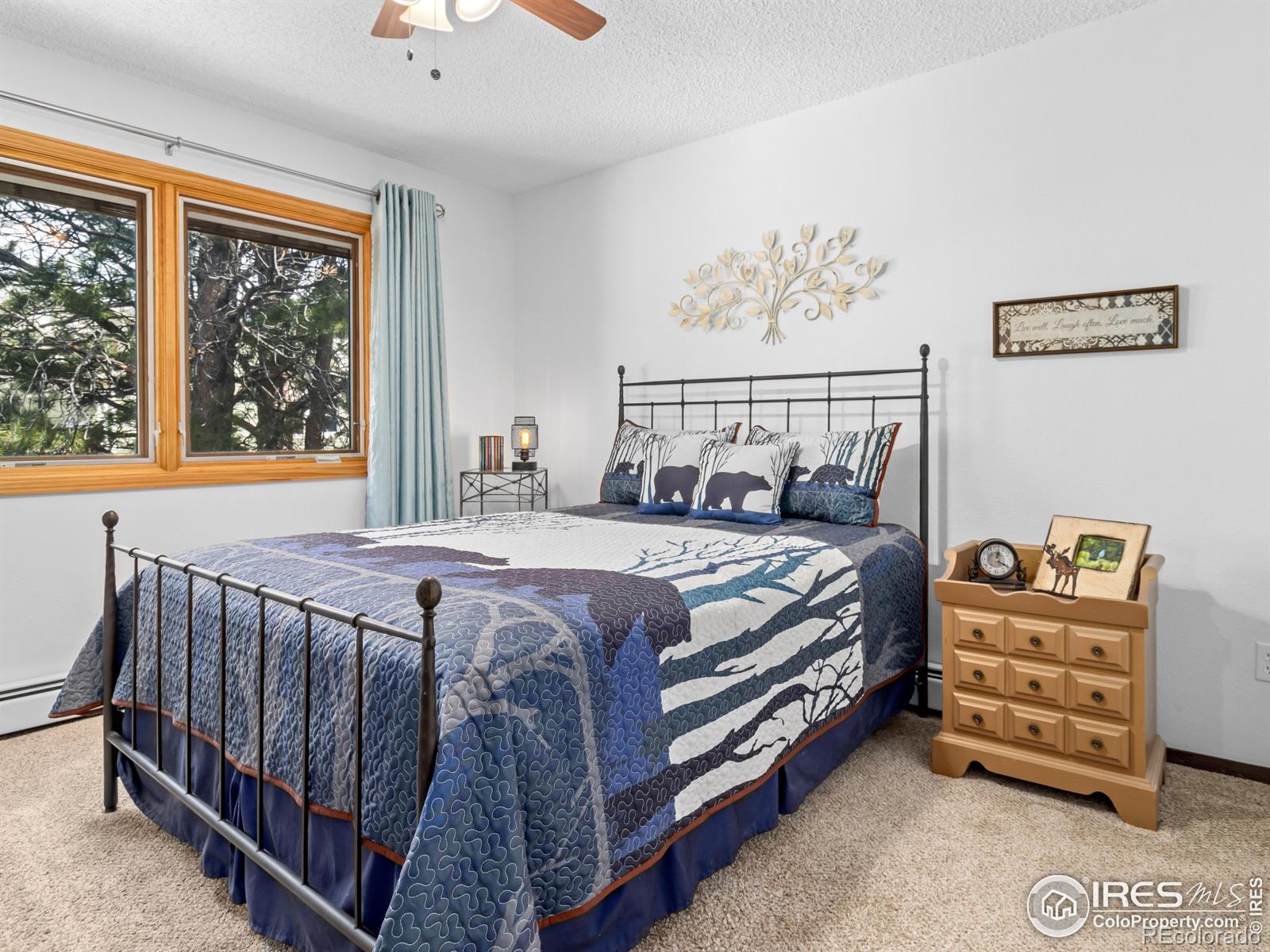MLS Image #24 for 2505  longview drive,estes park, Colorado