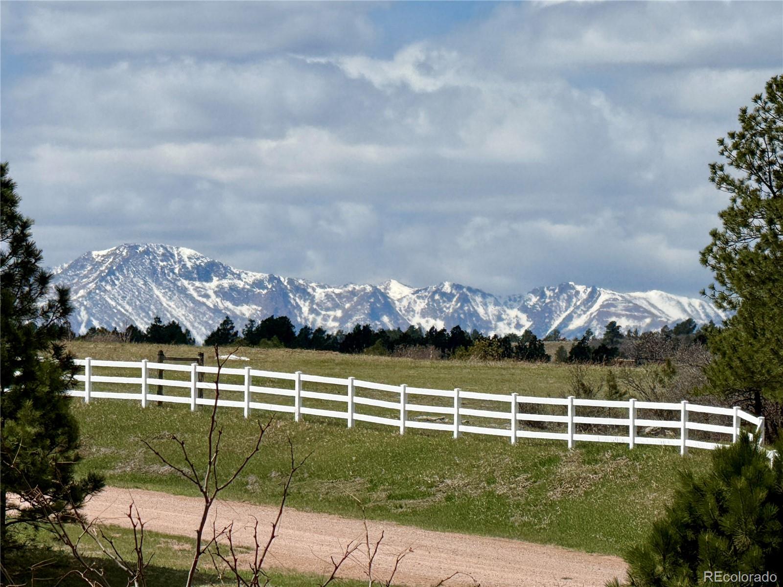 MLS Image #14 for 12984  crowfoot springs road,larkspur, Colorado