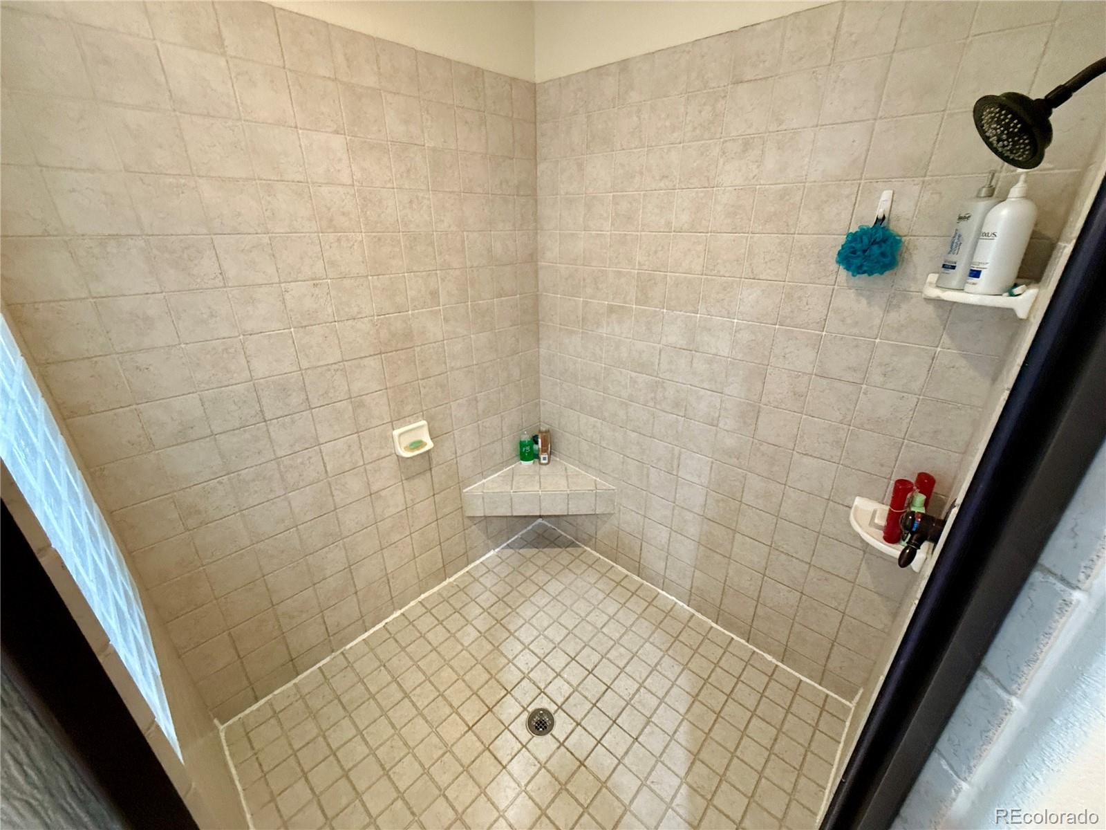 MLS Image #24 for 12984  crowfoot springs road,larkspur, Colorado