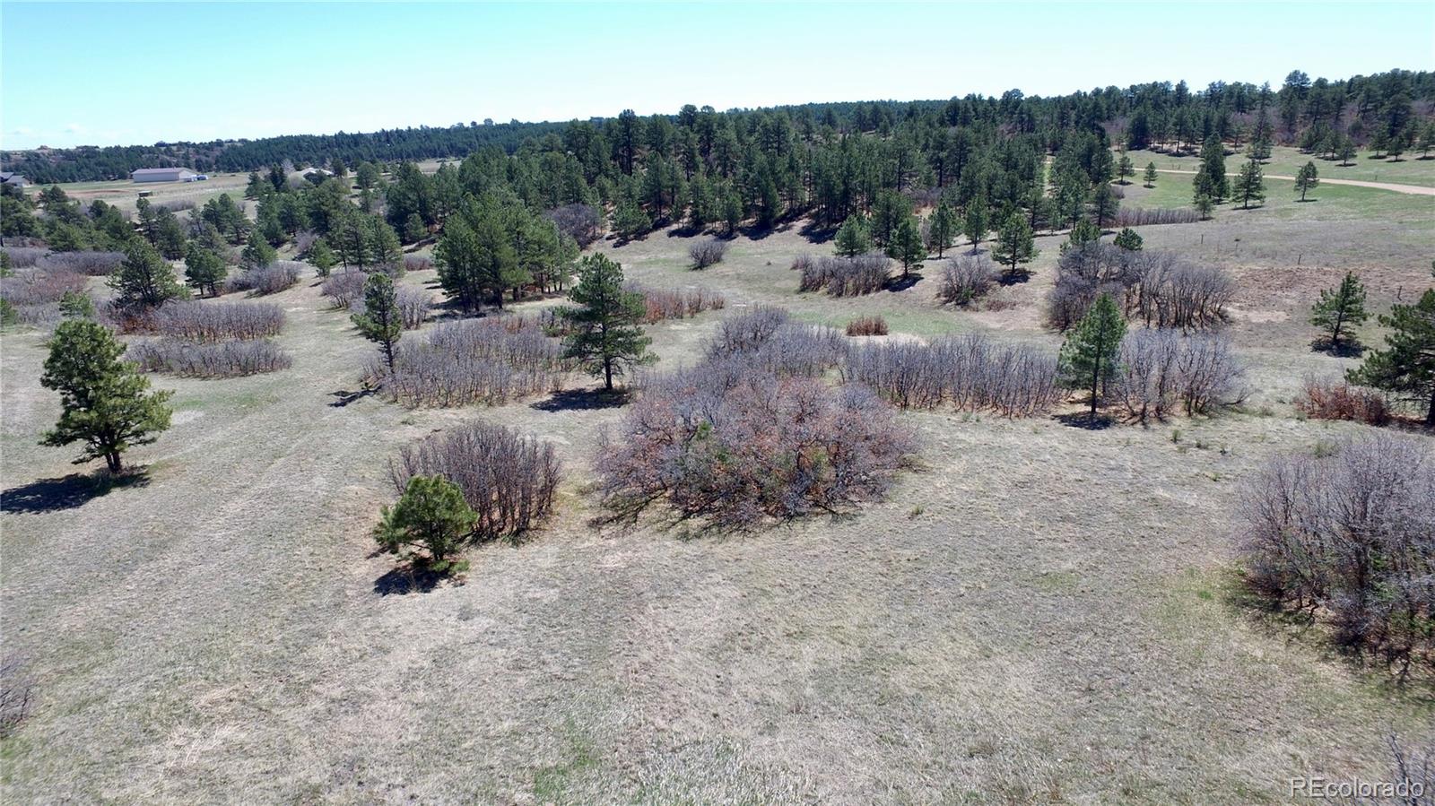 MLS Image #45 for 12984  crowfoot springs road,larkspur, Colorado