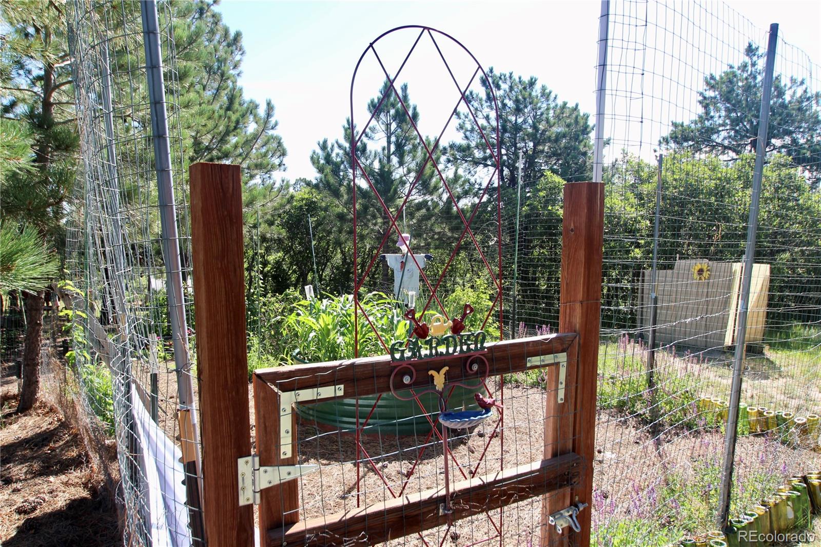 MLS Image #47 for 12984  crowfoot springs road,larkspur, Colorado