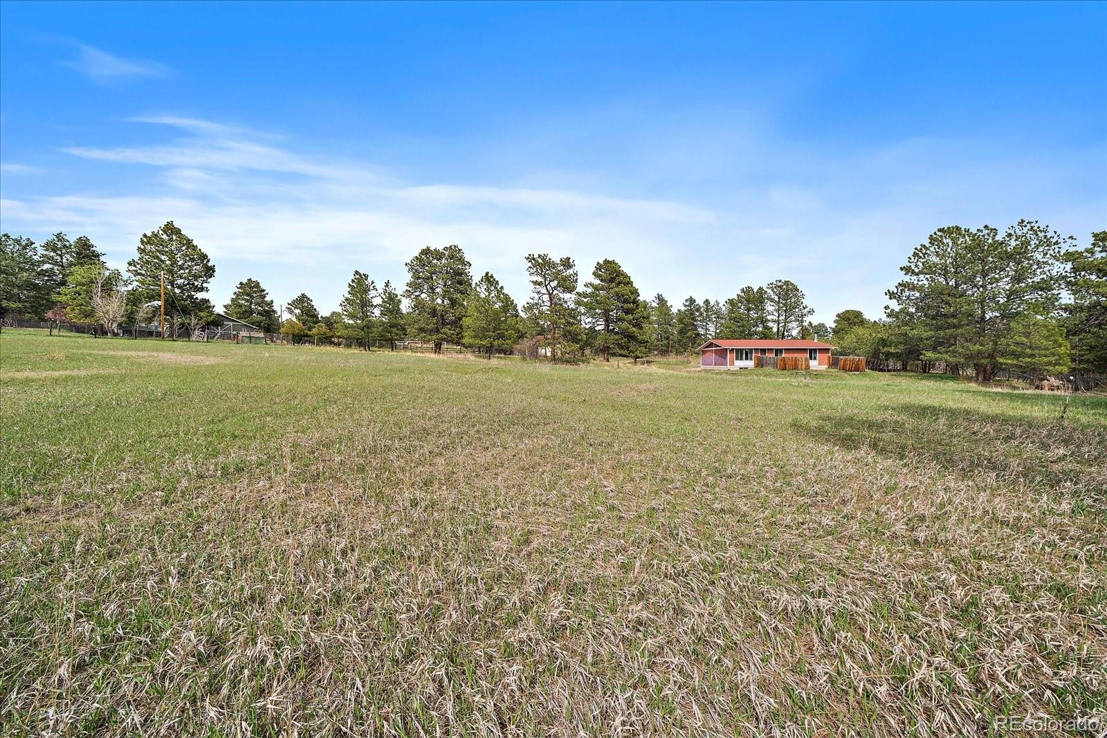 MLS Image #4 for 3337  ponderosa road,franktown, Colorado