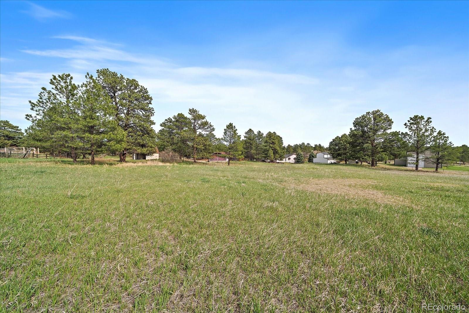 MLS Image #6 for 3337  ponderosa road,franktown, Colorado