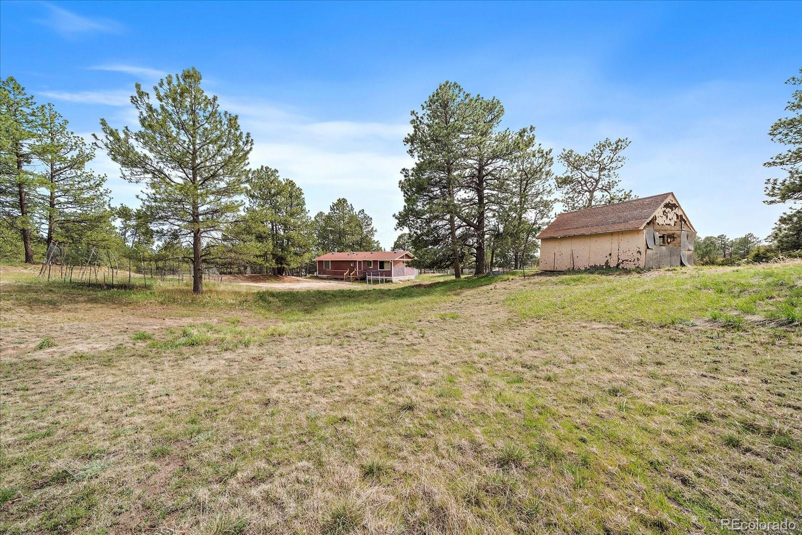 MLS Image #7 for 3337  ponderosa road,franktown, Colorado