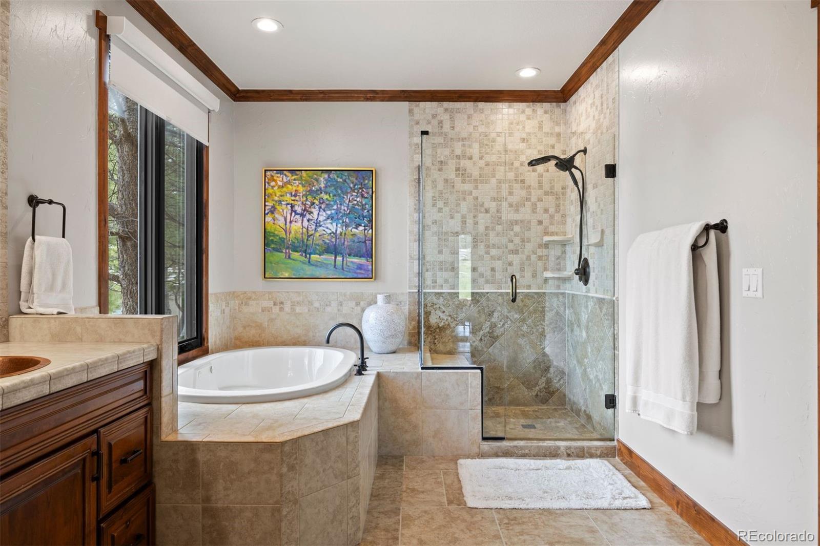 MLS Image #21 for 3216  country club parkway,castle rock, Colorado