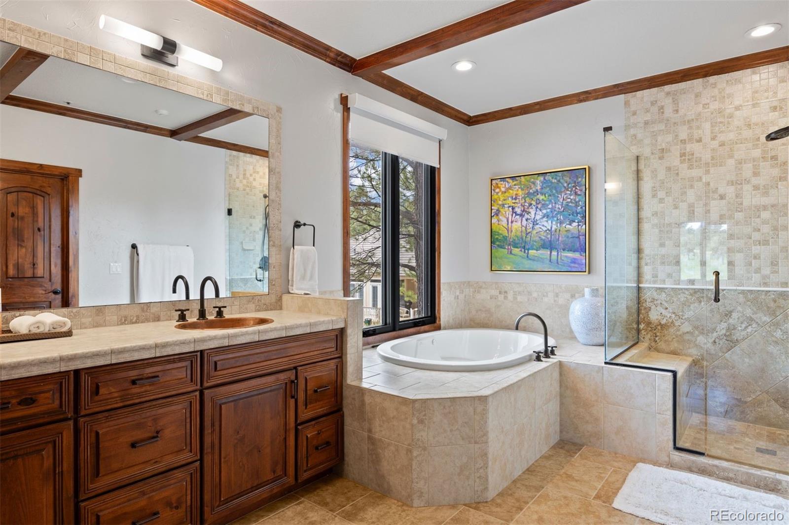 MLS Image #23 for 3216  country club parkway,castle rock, Colorado