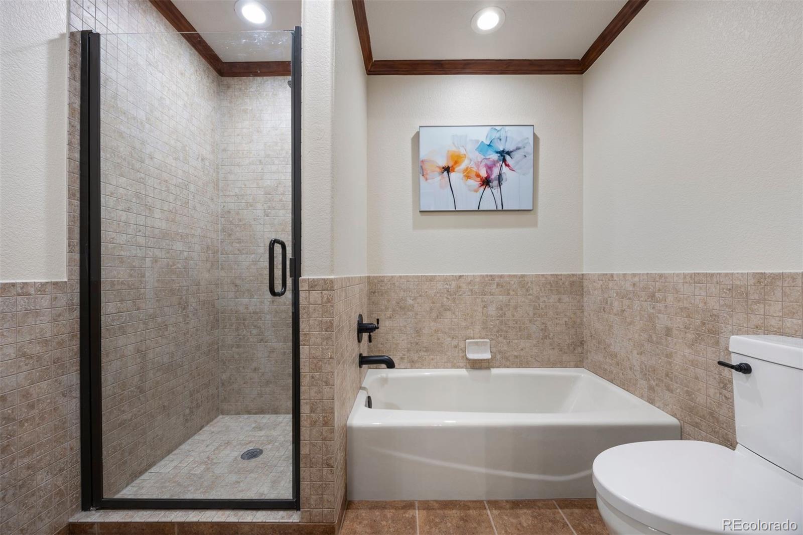 MLS Image #31 for 3216  country club parkway,castle rock, Colorado