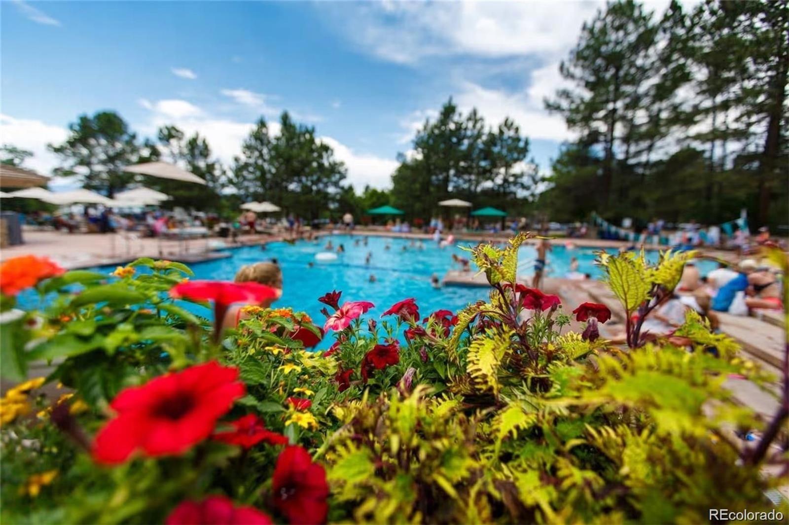 MLS Image #34 for 3216  country club parkway,castle rock, Colorado