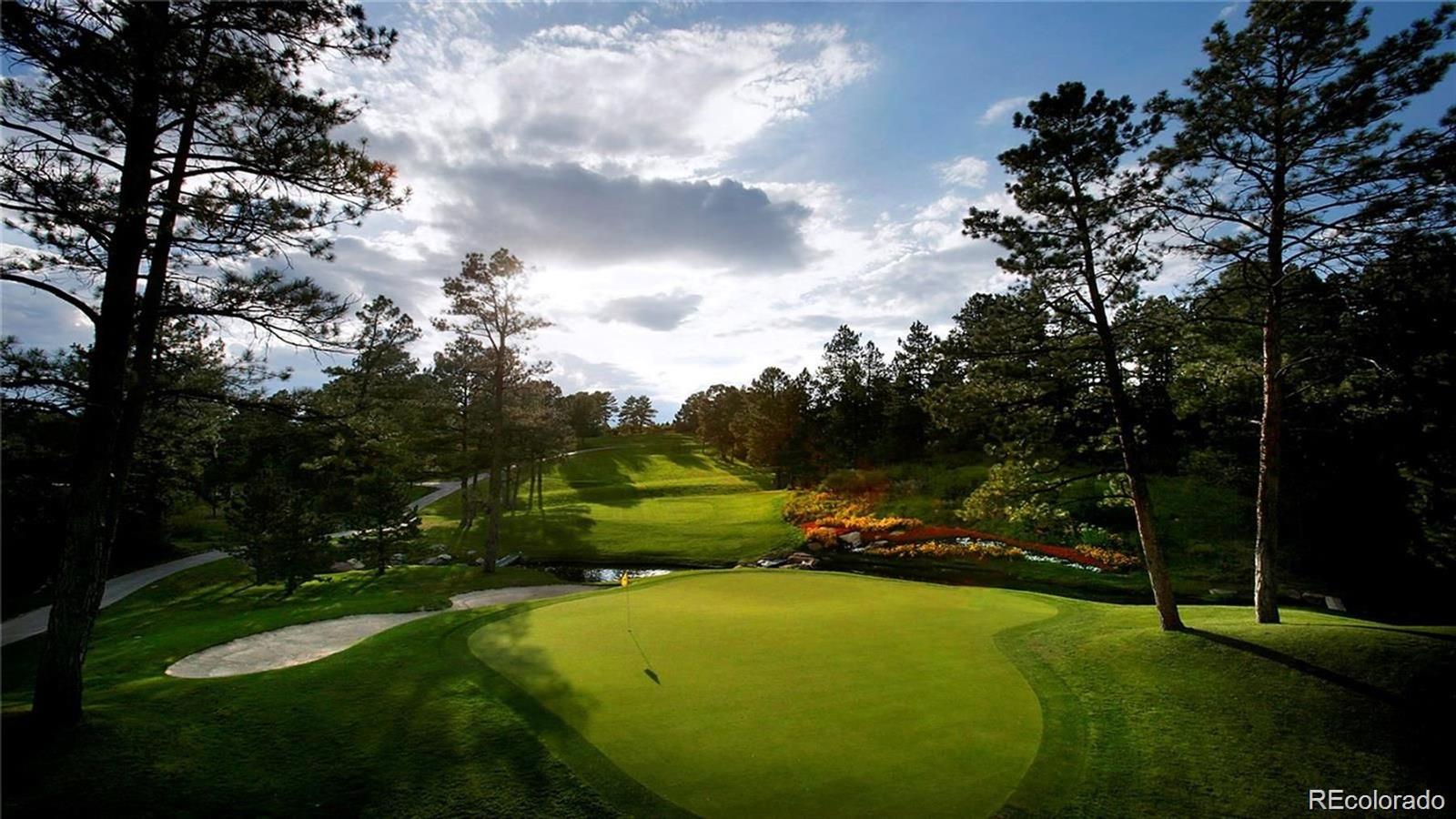 MLS Image #43 for 3216  country club parkway,castle rock, Colorado