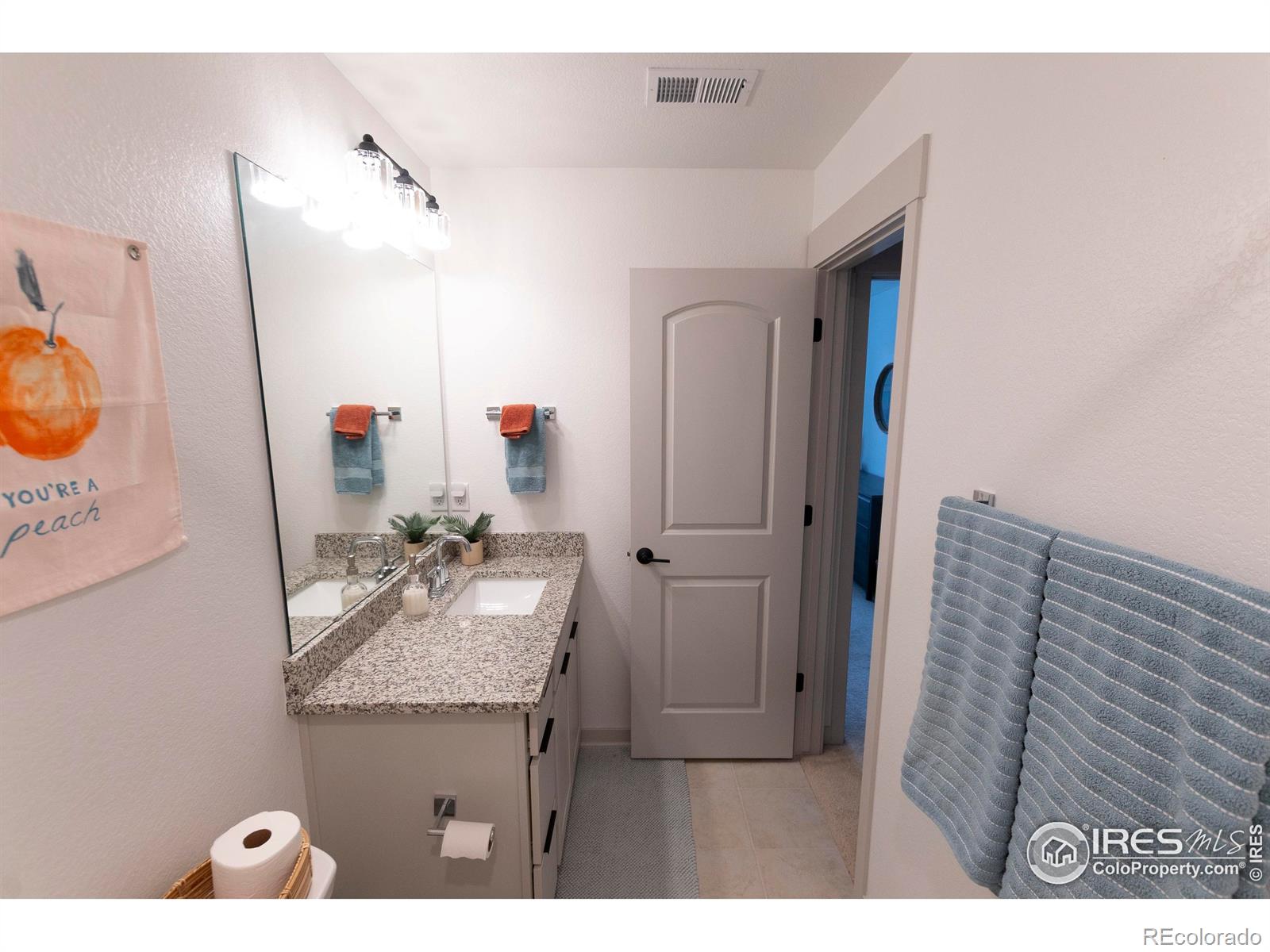 MLS Image #14 for 4424  haymill court,timnath, Colorado