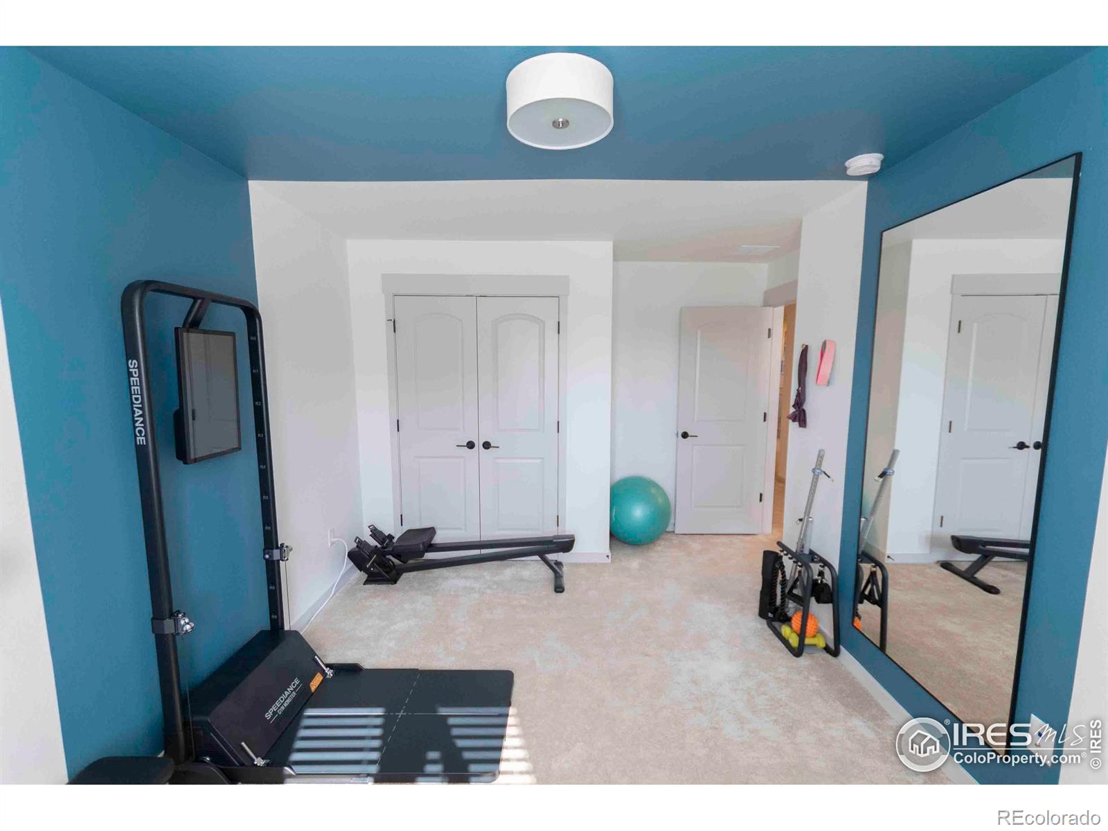 MLS Image #16 for 4424  haymill court,timnath, Colorado