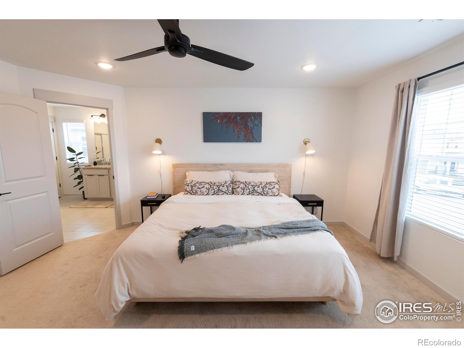 MLS Image #17 for 4424  haymill court,timnath, Colorado
