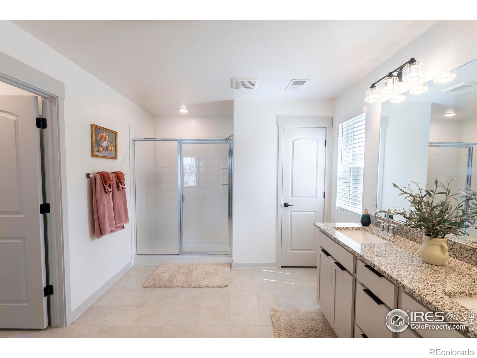 MLS Image #21 for 4424  haymill court,timnath, Colorado
