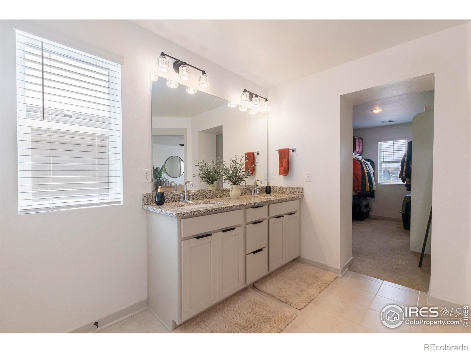 MLS Image #22 for 4424  haymill court,timnath, Colorado