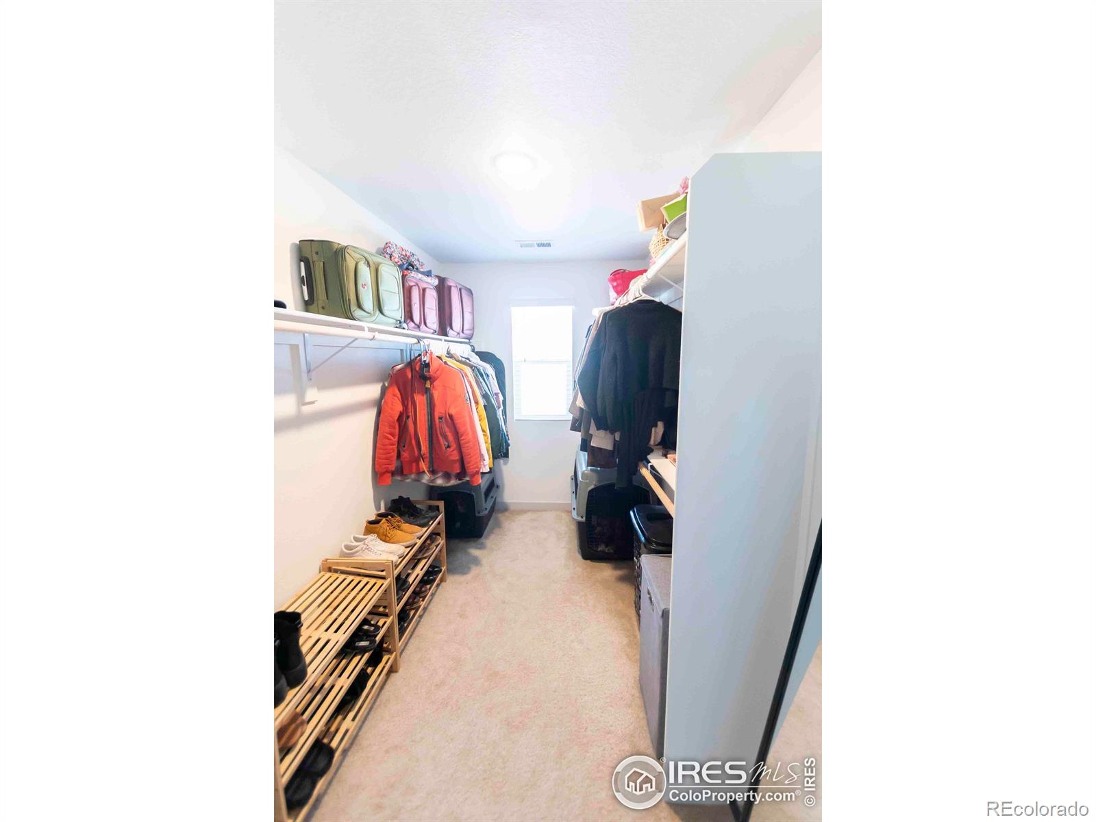 MLS Image #23 for 4424  haymill court,timnath, Colorado