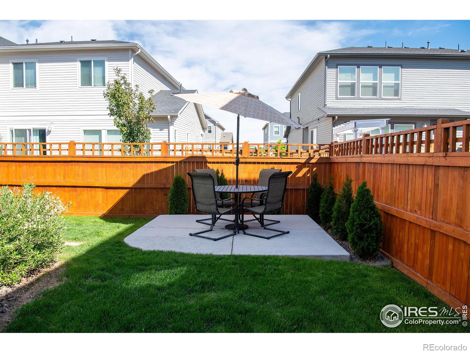 MLS Image #25 for 4424  haymill court,timnath, Colorado