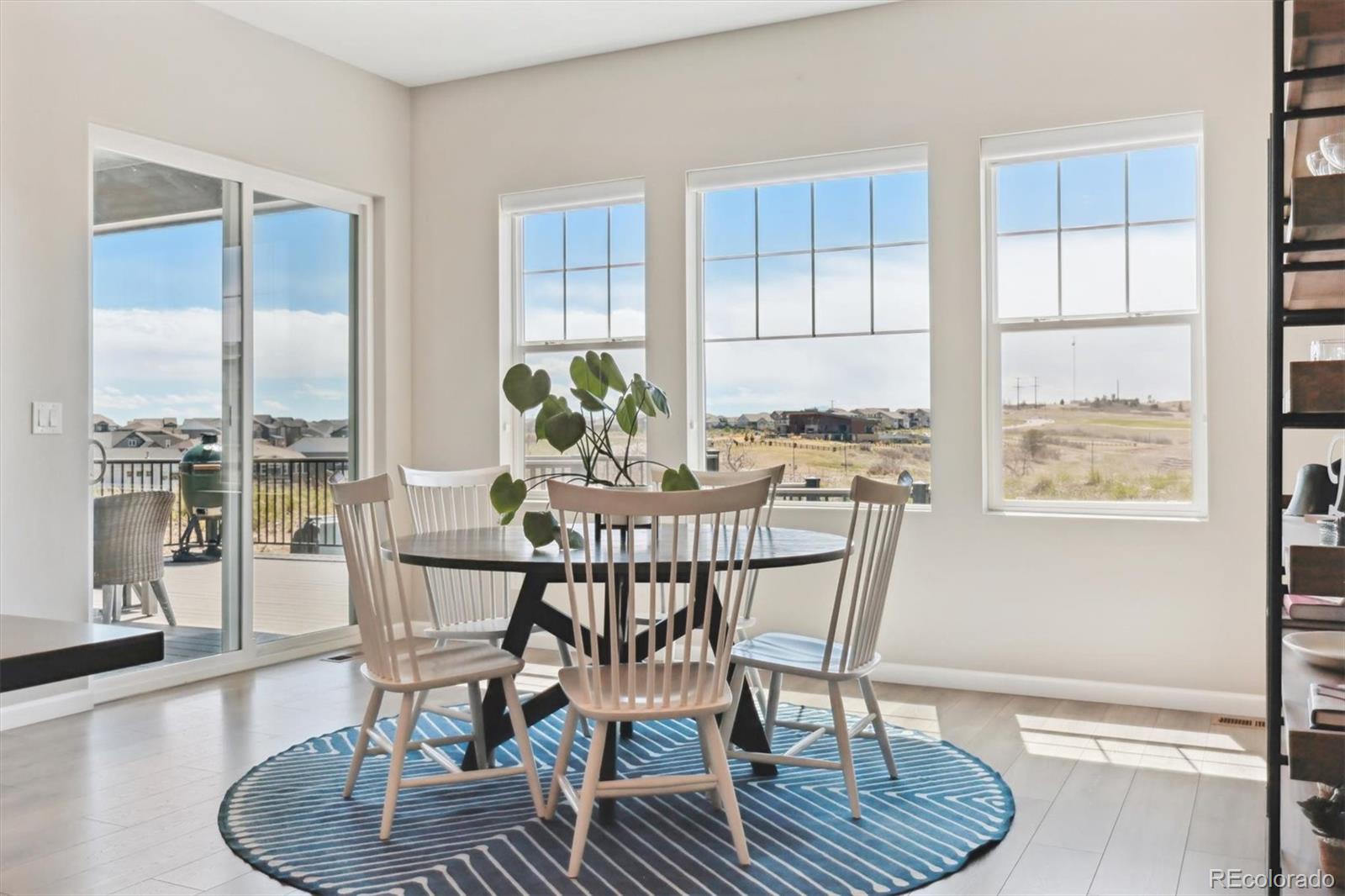 MLS Image #14 for 3038  blithe point,castle rock, Colorado