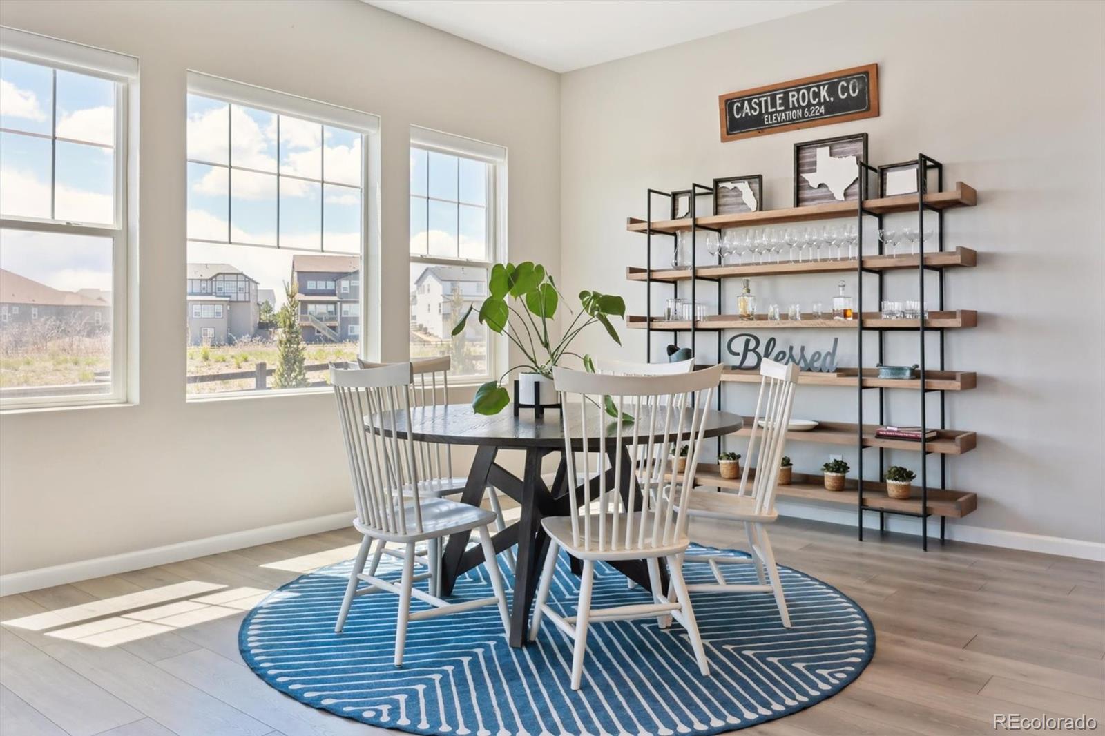 MLS Image #15 for 3038  blithe point,castle rock, Colorado