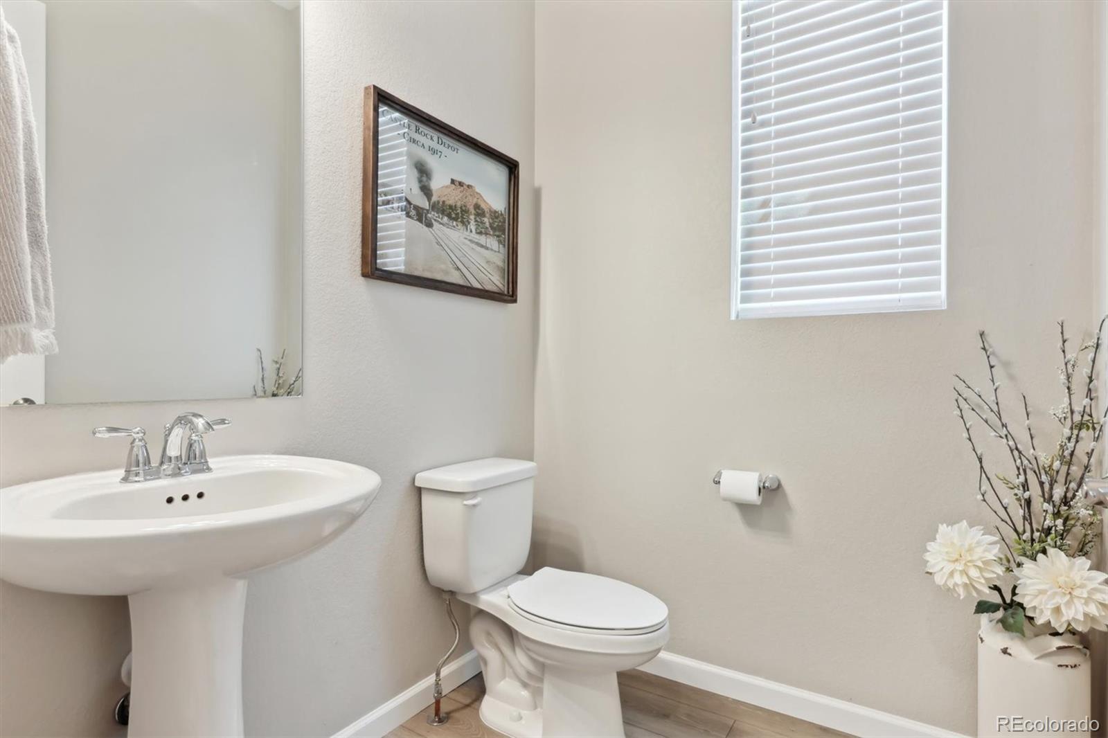 MLS Image #18 for 3038  blithe point,castle rock, Colorado