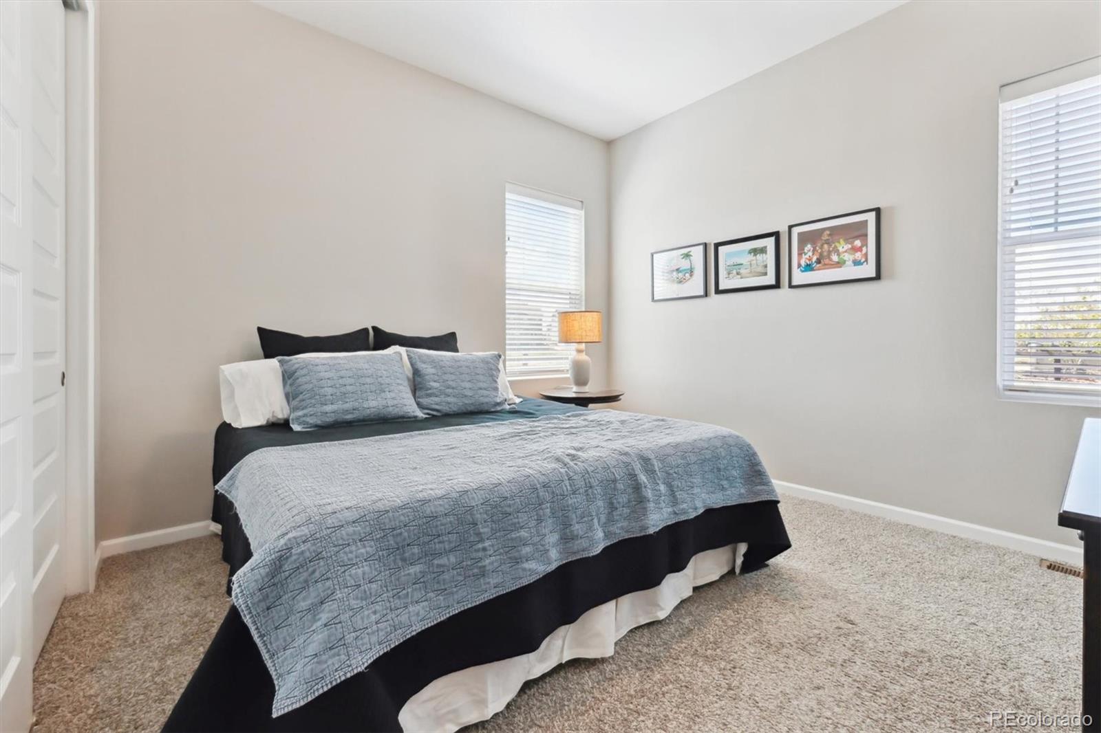 MLS Image #19 for 3038  blithe point,castle rock, Colorado