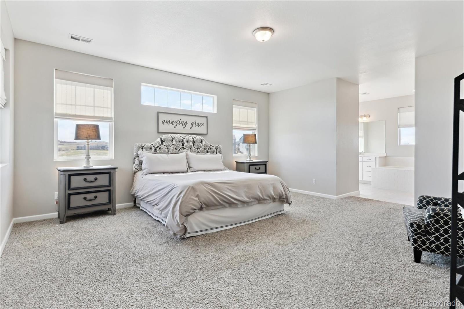 MLS Image #23 for 3038  blithe point,castle rock, Colorado