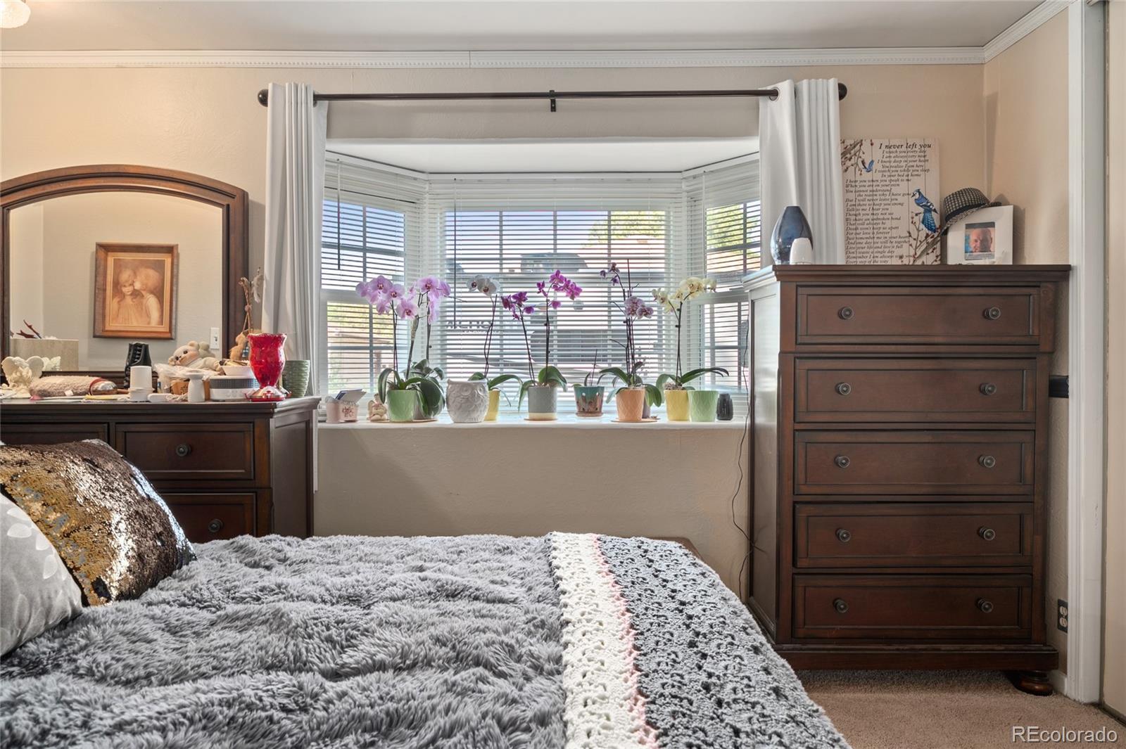 MLS Image #9 for 8501 w 52nd avenue,arvada, Colorado