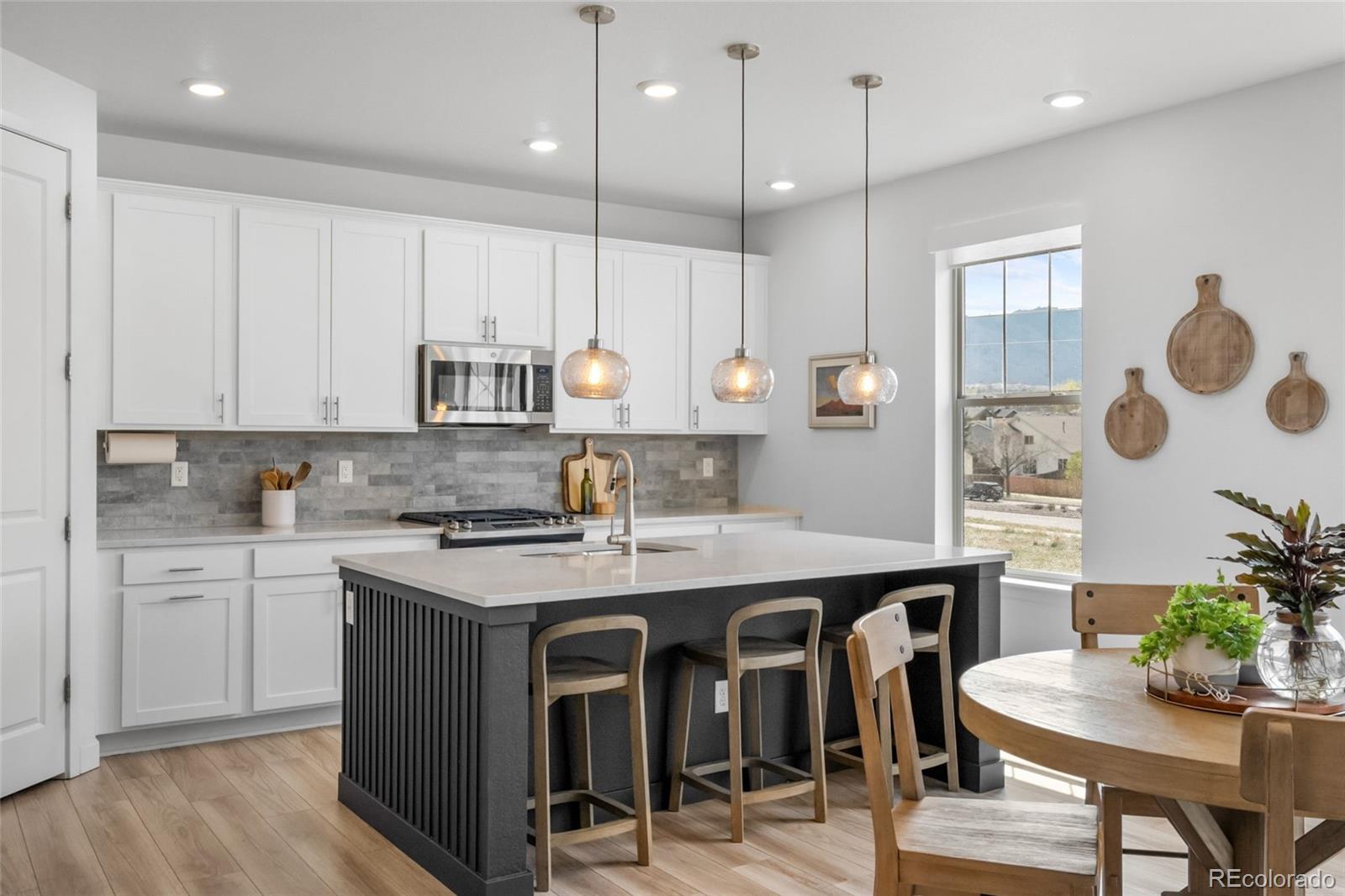 MLS Image #11 for 8109  mount ouray road,littleton, Colorado