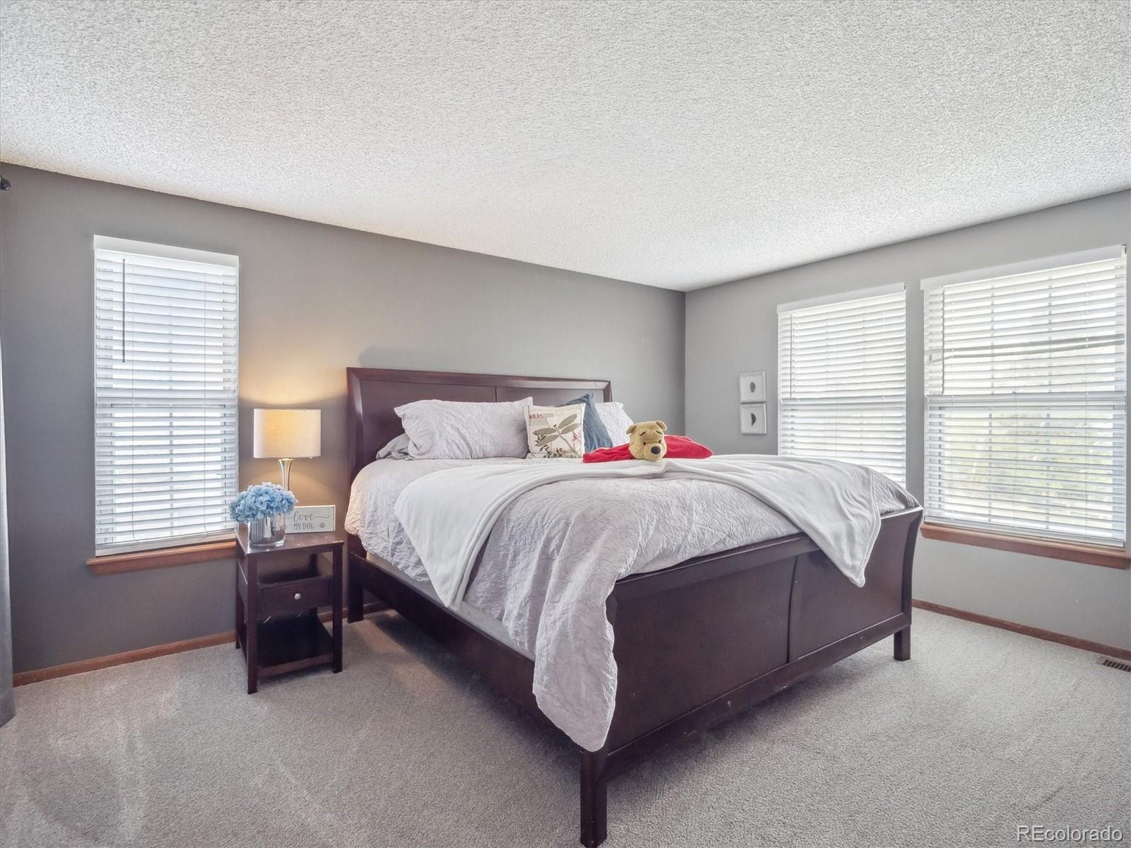 MLS Image #32 for 10961  main range trail,littleton, Colorado