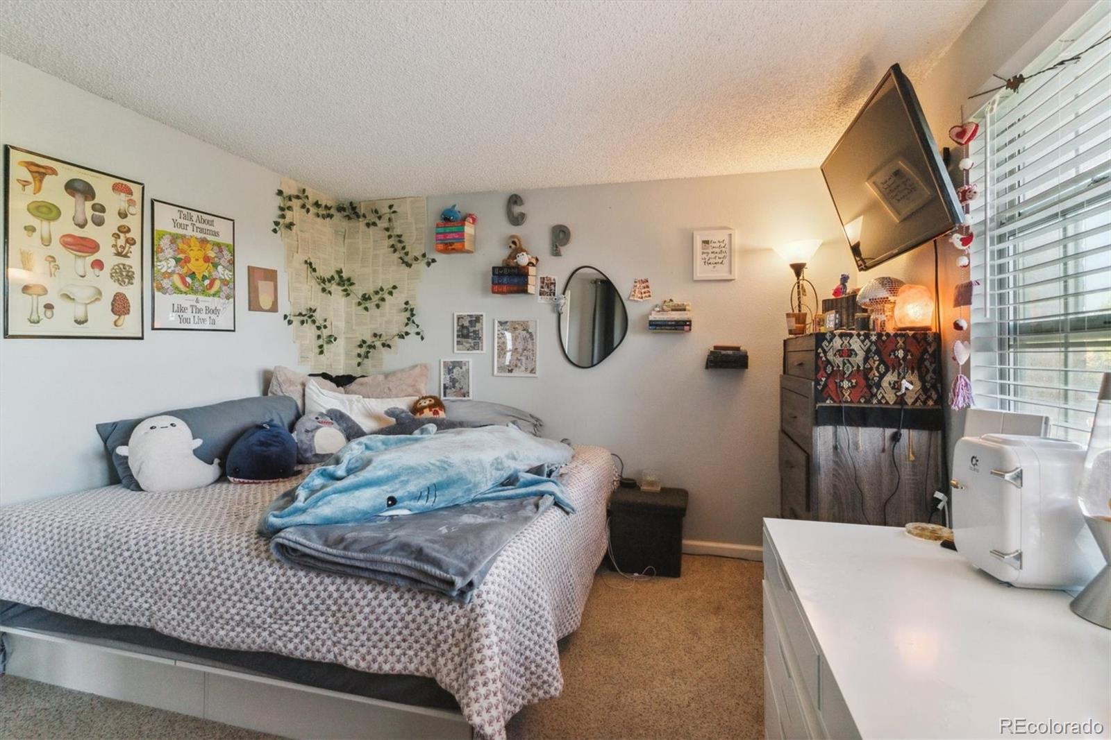 MLS Image #34 for 10961  main range trail,littleton, Colorado