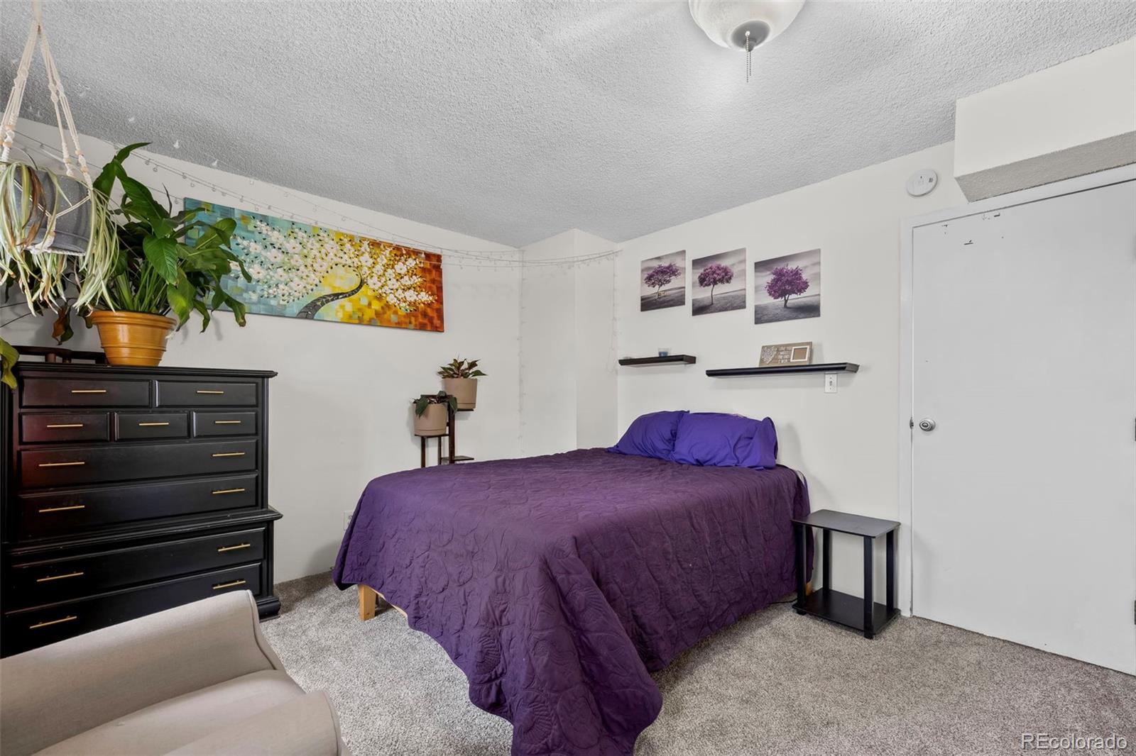 MLS Image #10 for 6930 s broadway ,centennial, Colorado