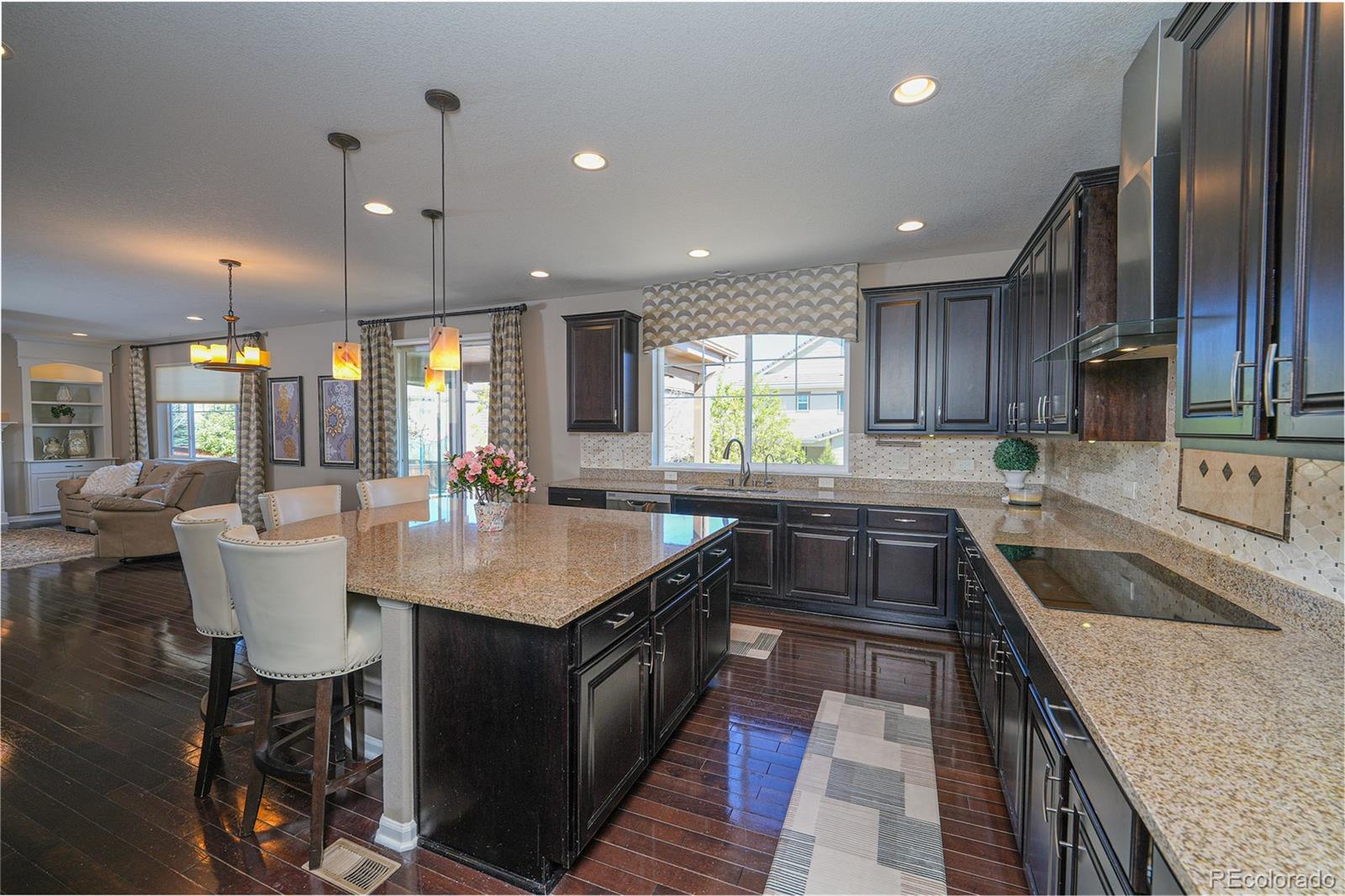 MLS Image #4 for 14193  double dutch circle,parker, Colorado