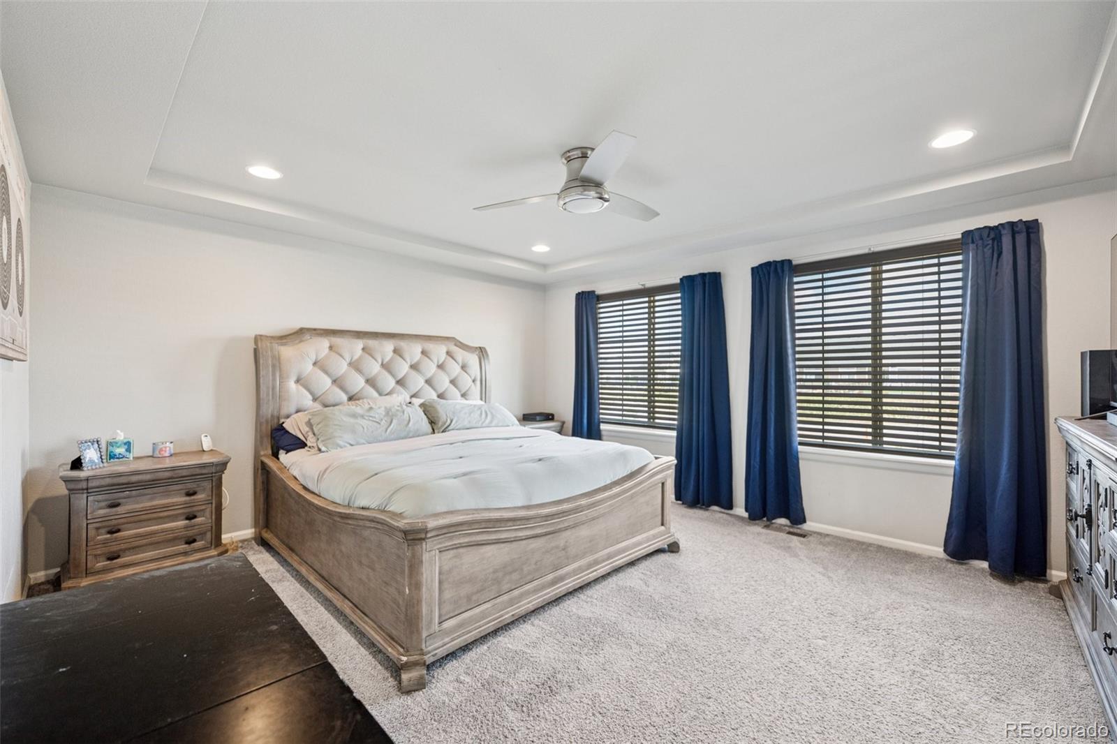 MLS Image #12 for 9237  birr court,colorado springs, Colorado