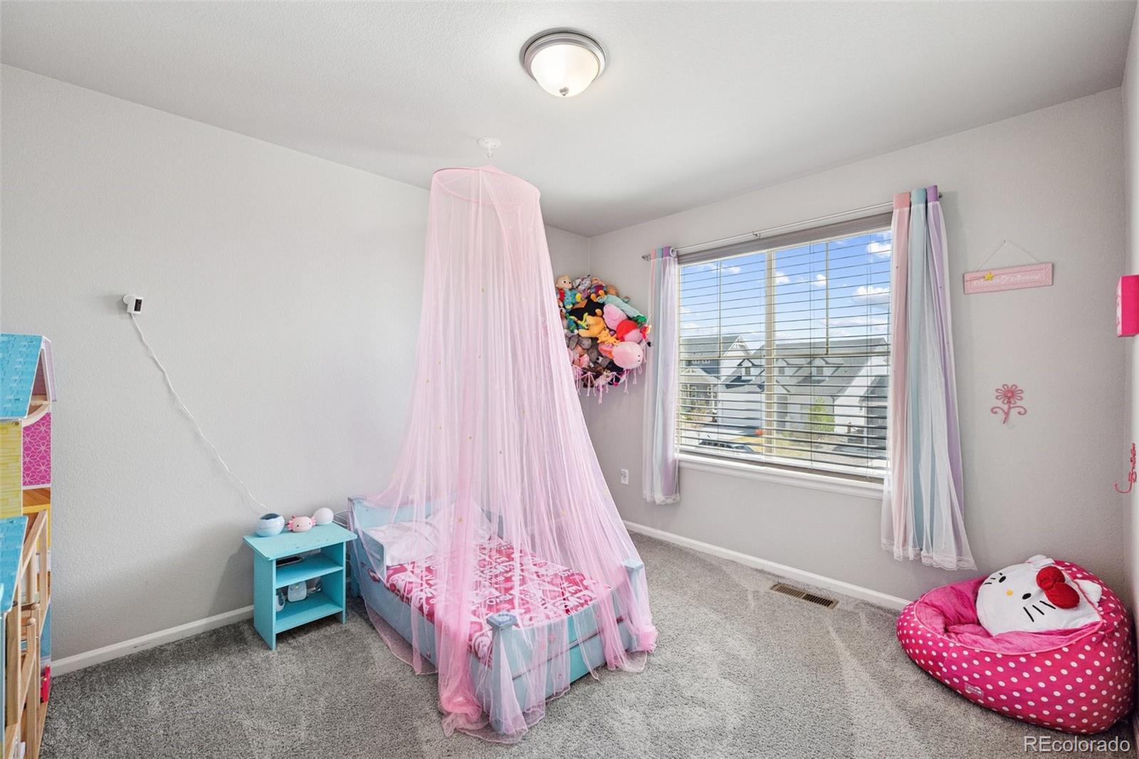 MLS Image #16 for 9237  birr court,colorado springs, Colorado