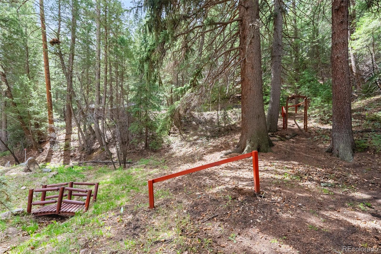 MLS Image #23 for 17422 n canyon road,littleton, Colorado