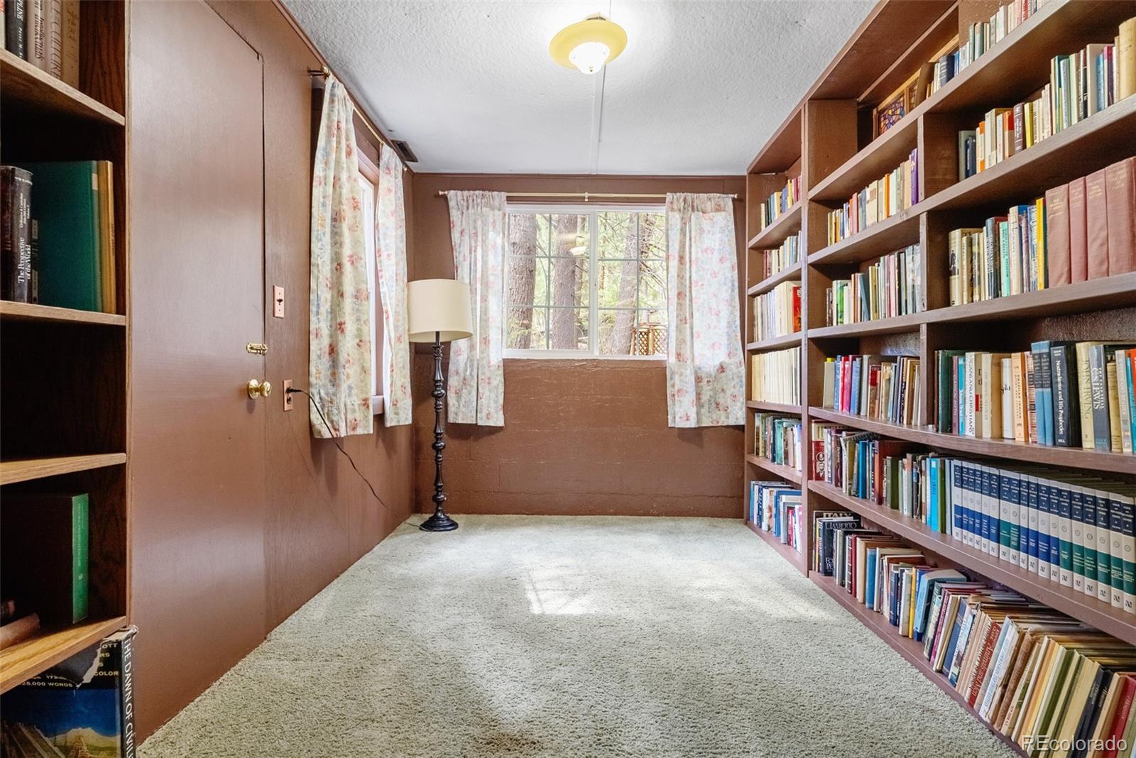 MLS Image #5 for 17422 n canyon road,littleton, Colorado
