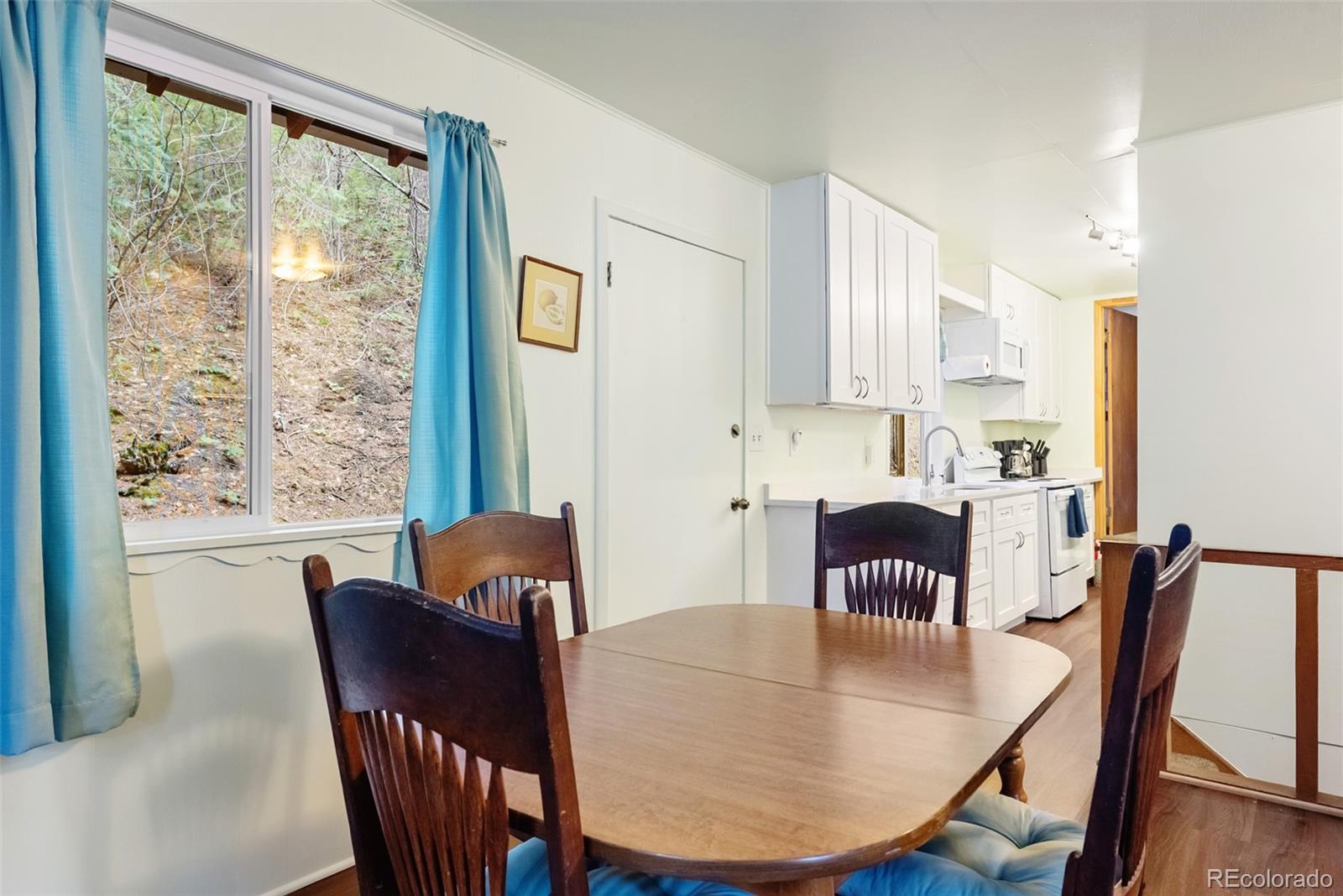 MLS Image #9 for 17422 n canyon road,littleton, Colorado
