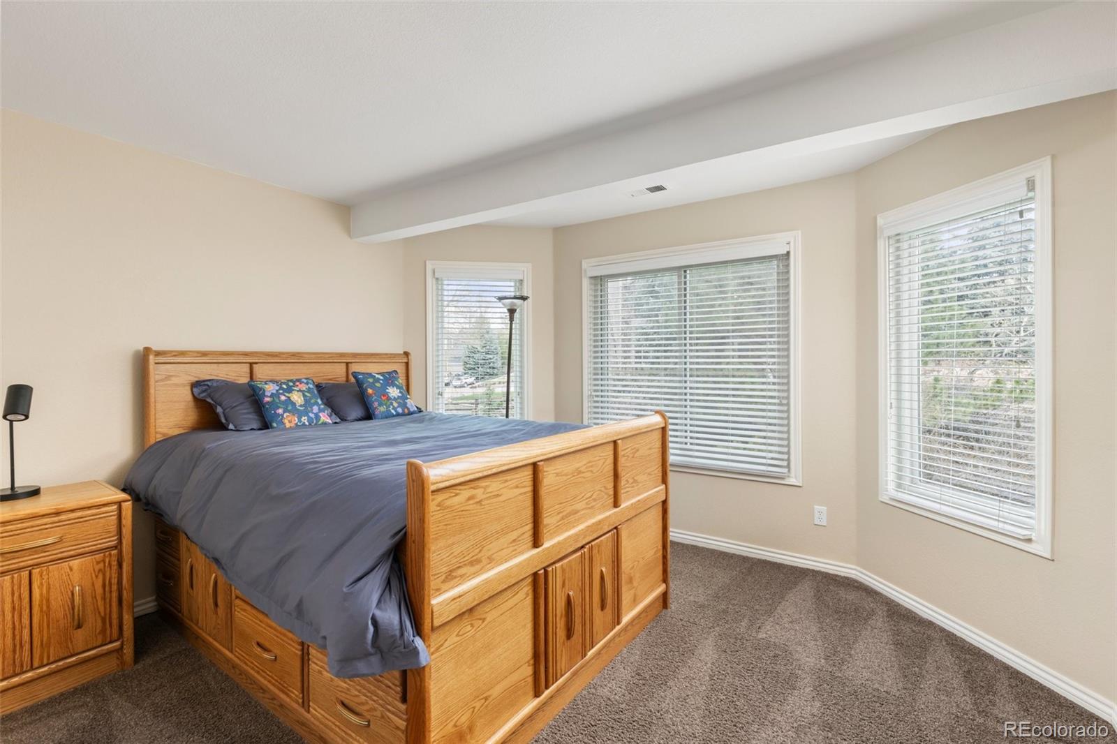 MLS Image #27 for 7307  pine forest lane,parker, Colorado