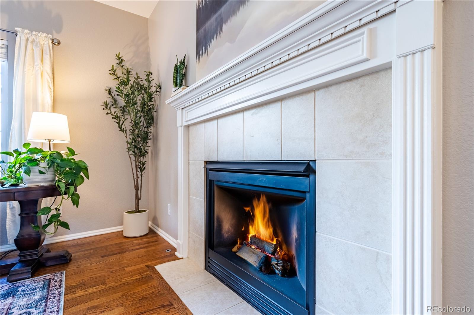 MLS Image #12 for 1169  thornbury place,highlands ranch, Colorado