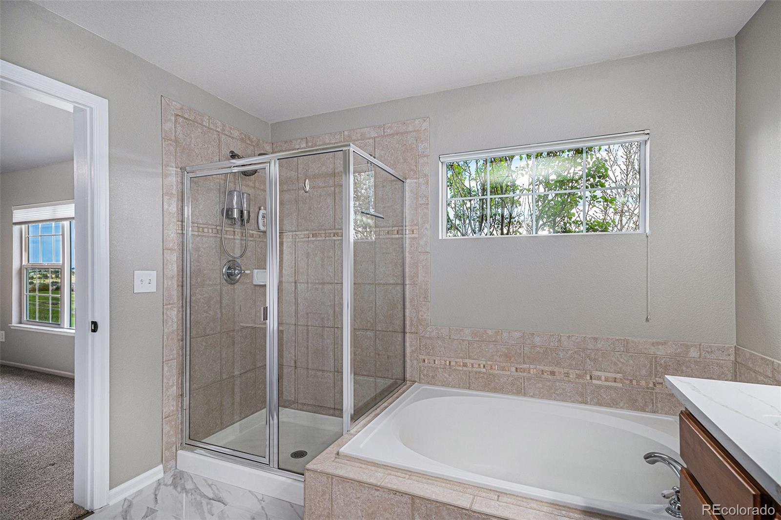 MLS Image #14 for 11788  mill valley street,parker, Colorado