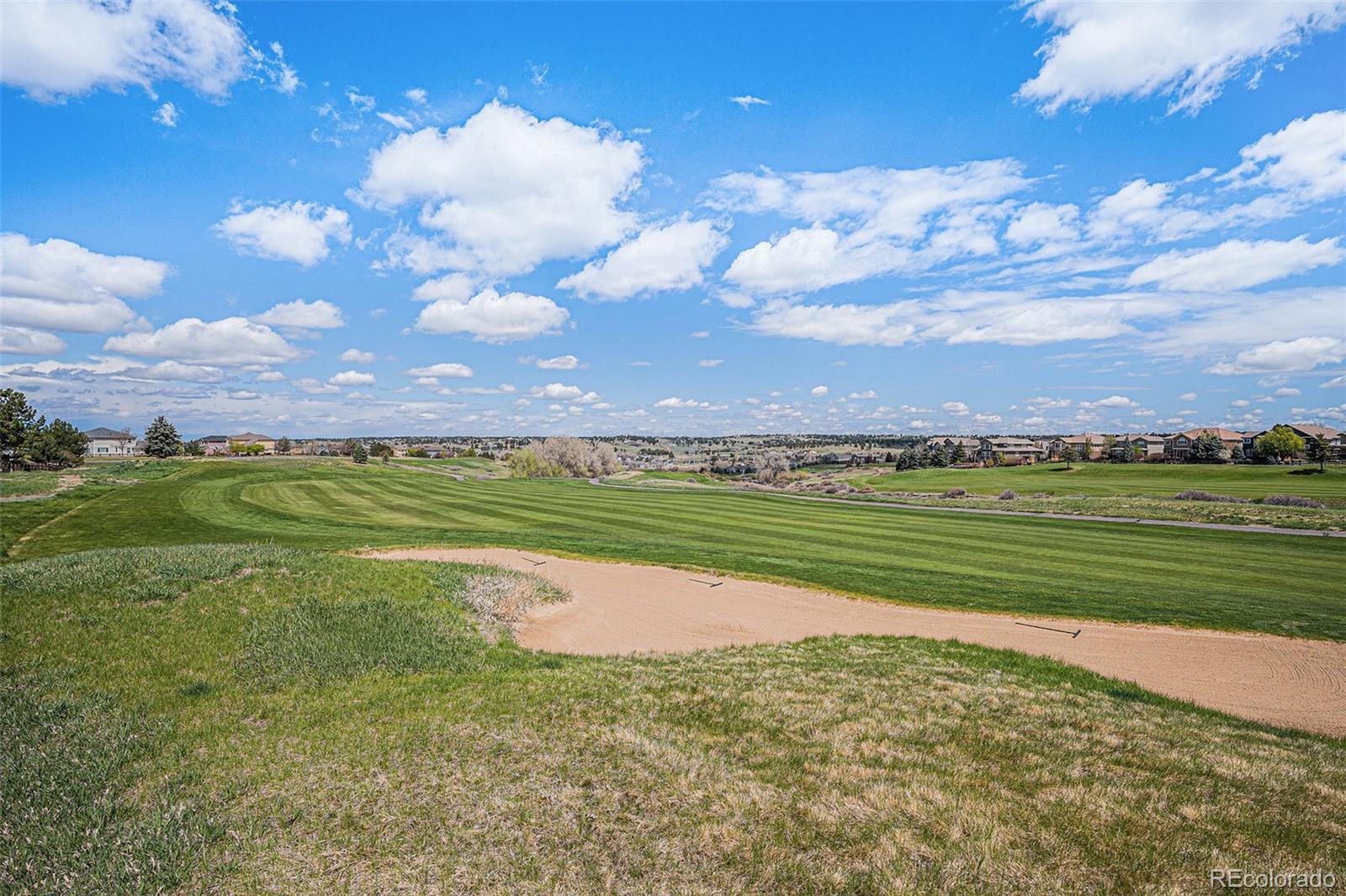 MLS Image #29 for 11788  mill valley street,parker, Colorado