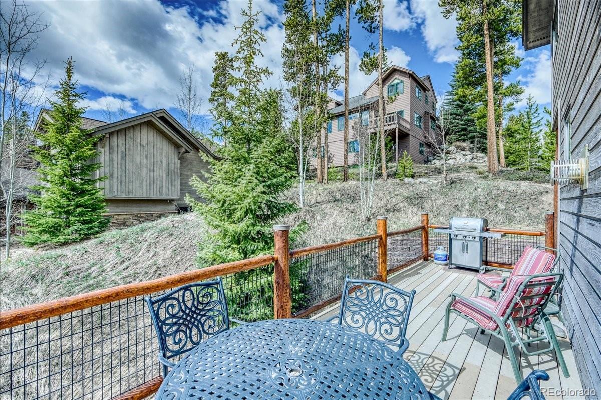 MLS Image #15 for 1813  stellar drive,silverthorne, Colorado