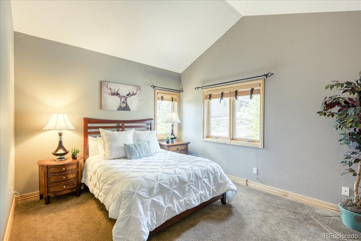 MLS Image #24 for 1813  stellar drive,silverthorne, Colorado