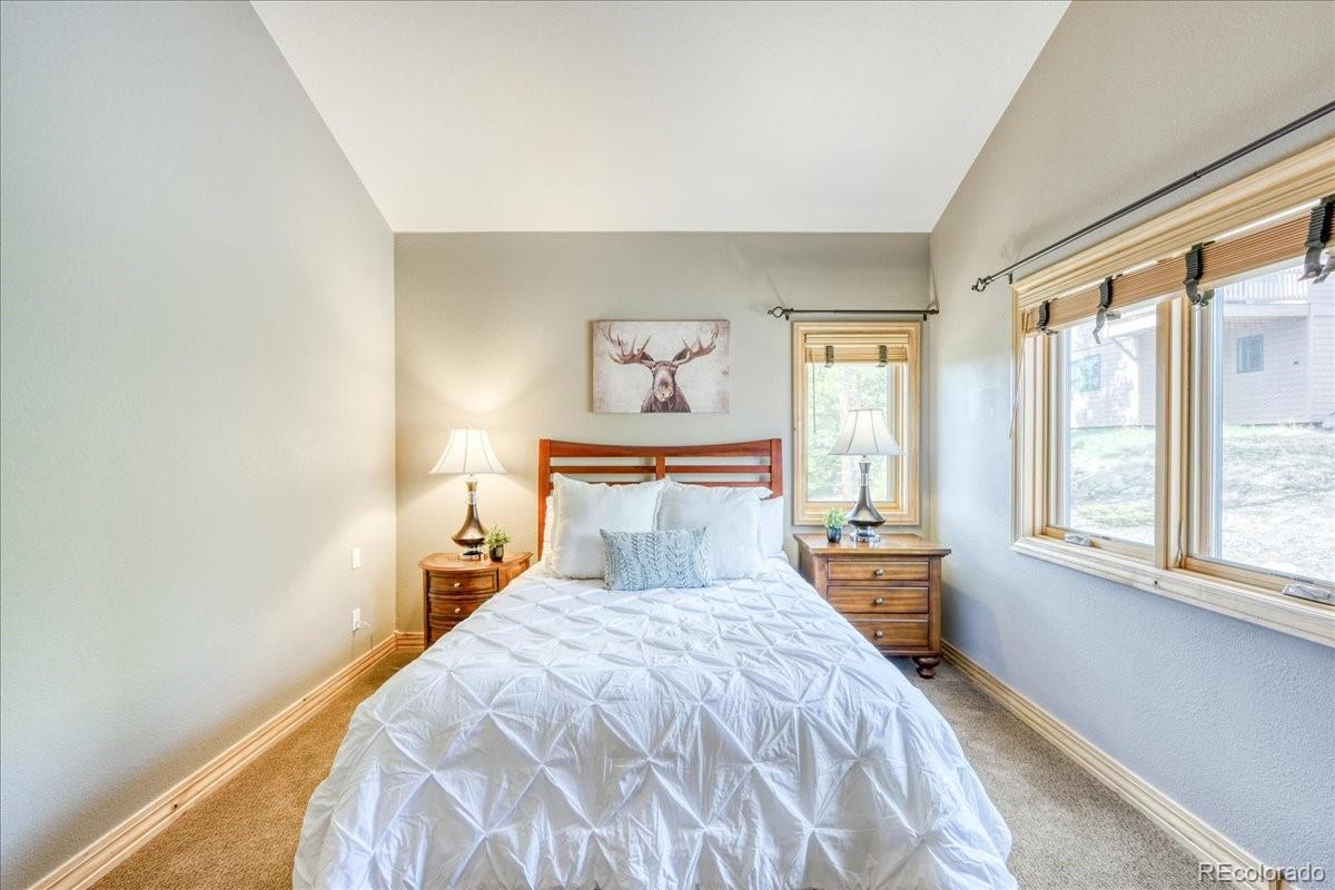 MLS Image #25 for 1813  stellar drive,silverthorne, Colorado