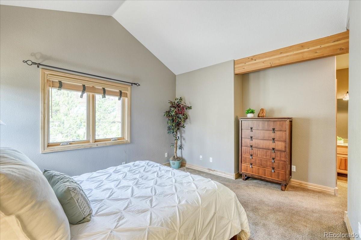 MLS Image #26 for 1813  stellar drive,silverthorne, Colorado