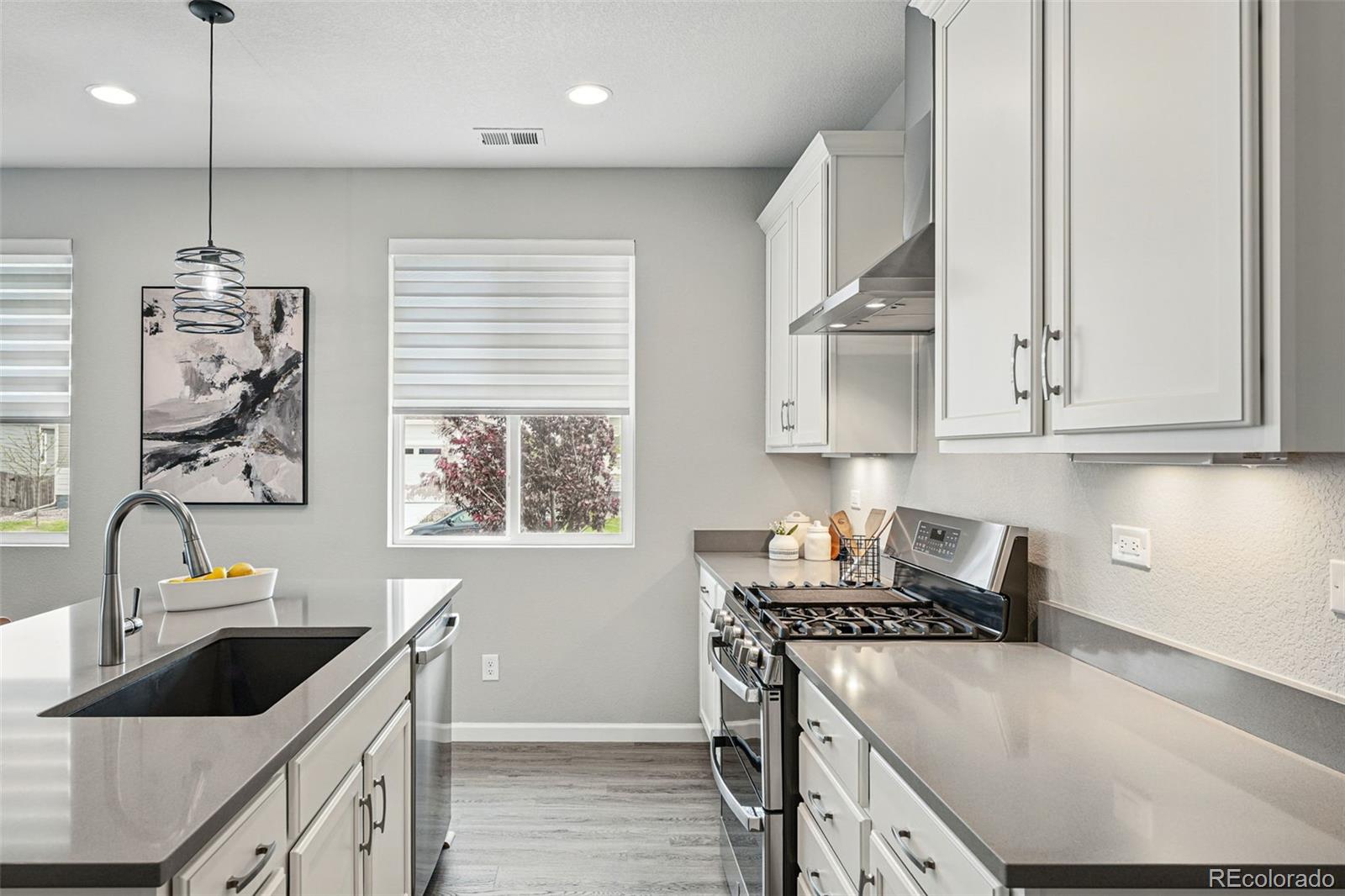 MLS Image #3 for 1592  maggie mae lane,castle rock, Colorado
