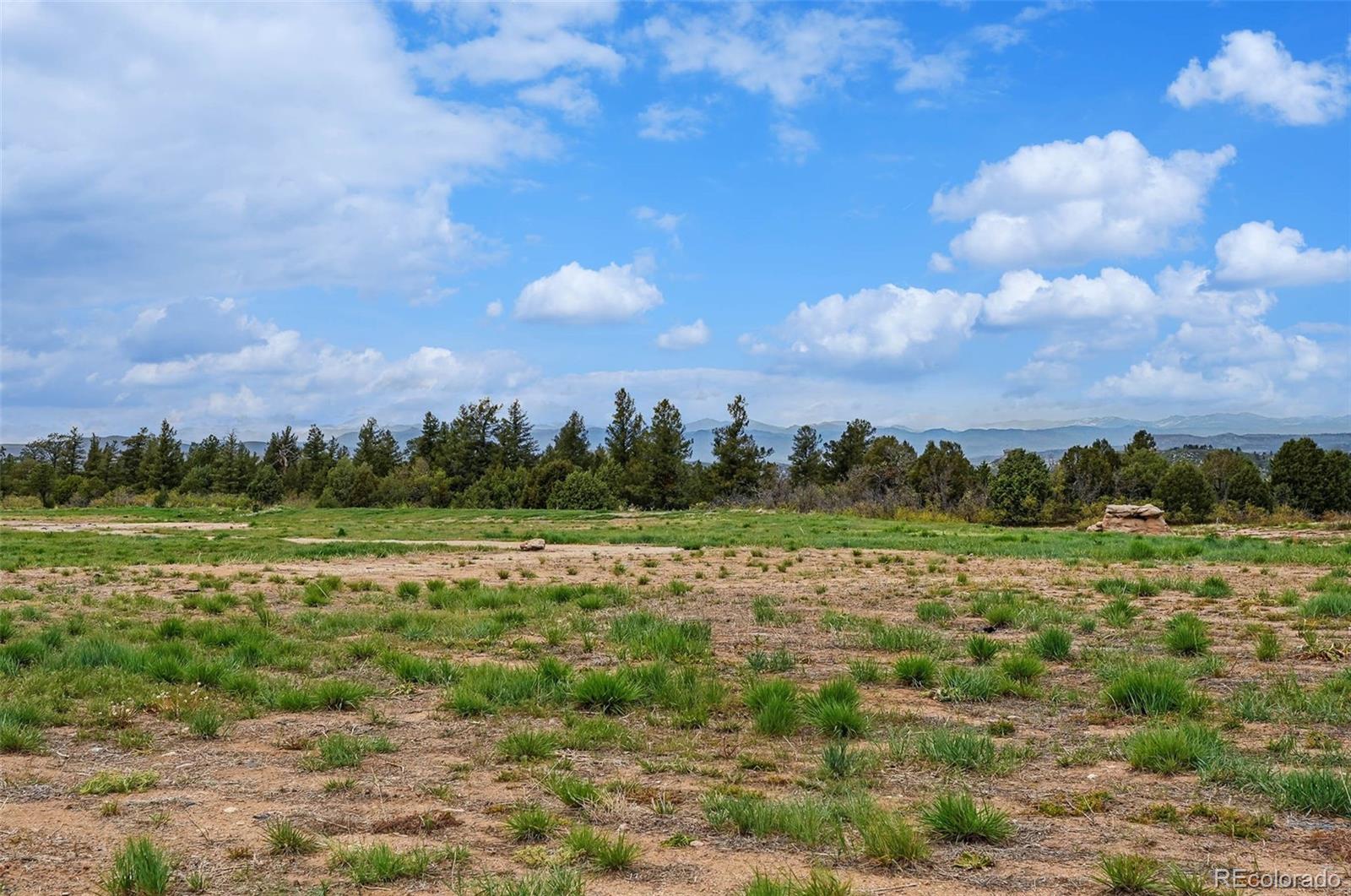MLS Image #47 for 1592  maggie mae lane,castle rock, Colorado