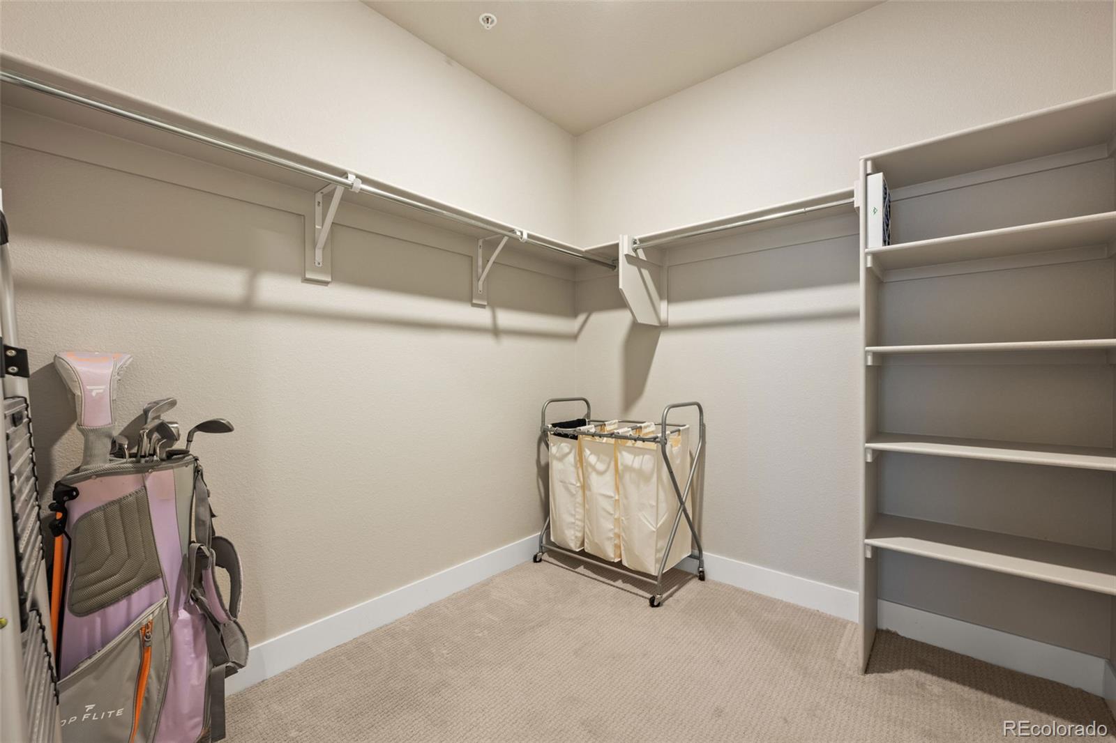 MLS Image #19 for 20  wilcox ,castle rock, Colorado
