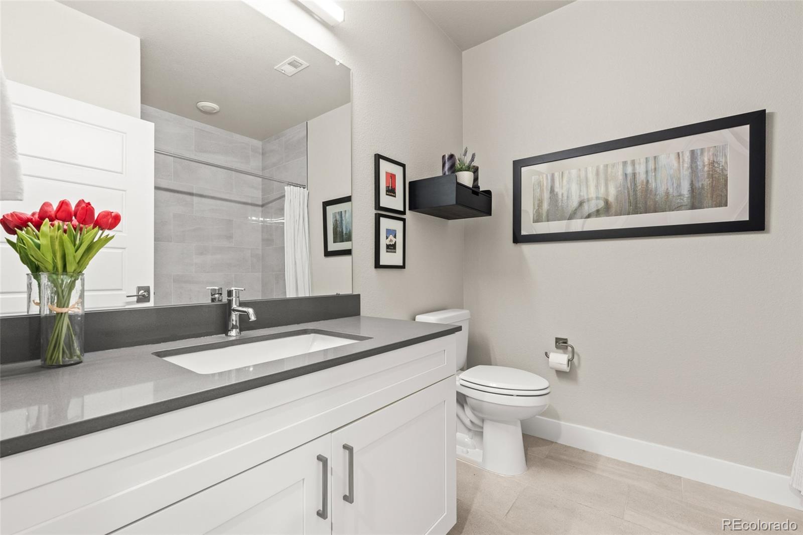 MLS Image #23 for 20  wilcox ,castle rock, Colorado